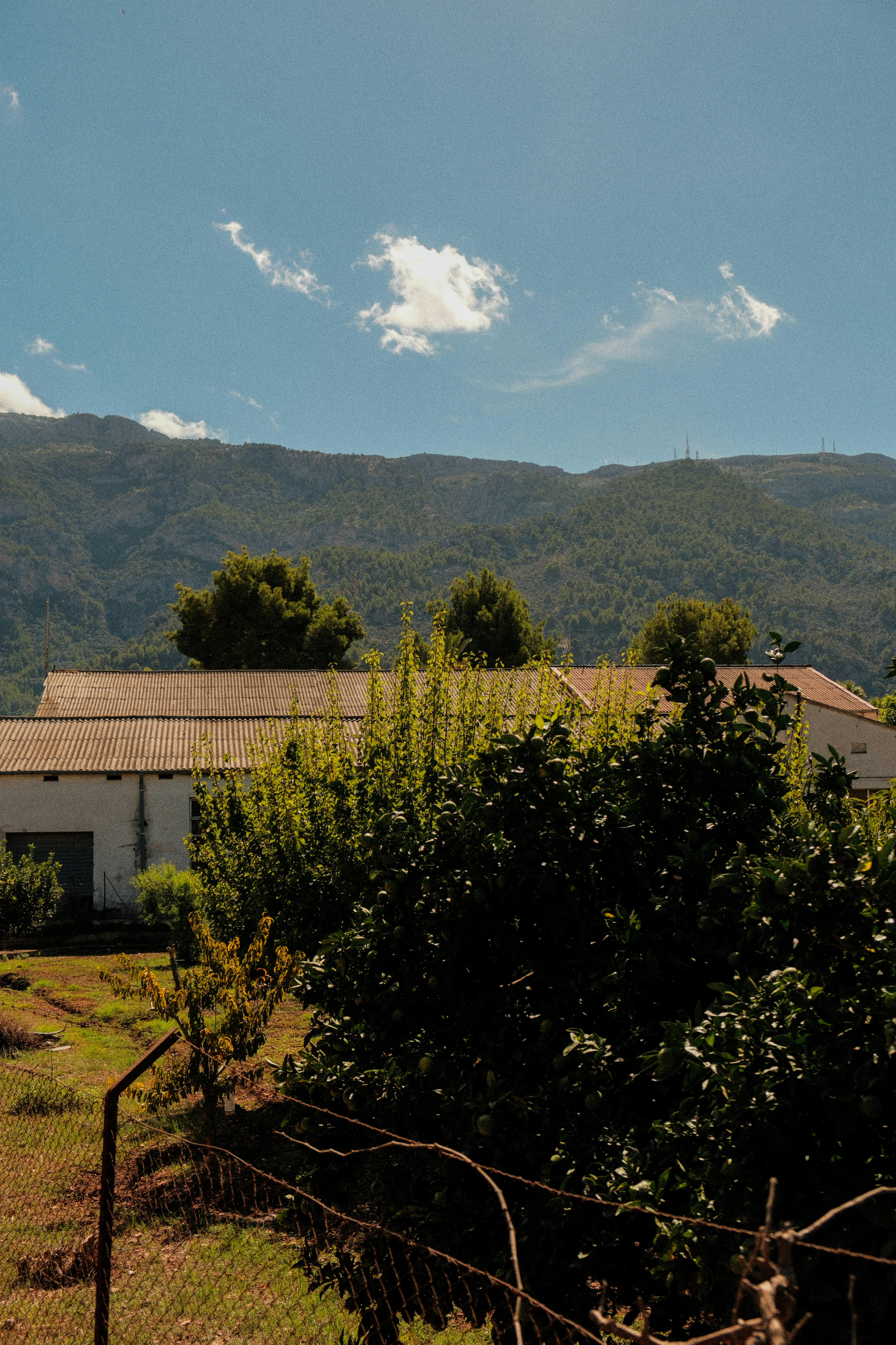 Des bâtiments agricoles nichés contre un flanc de montagne boisé.