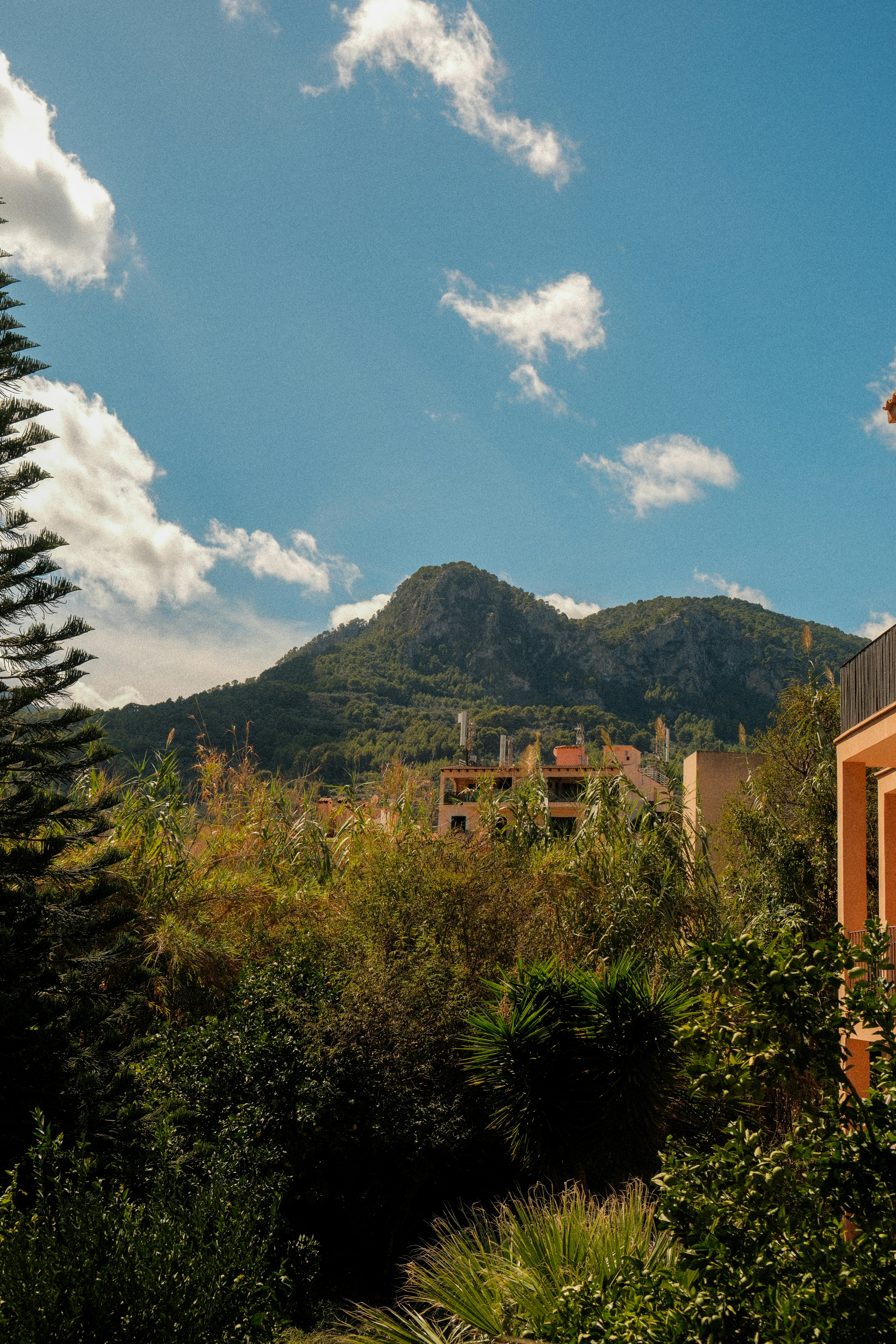 Photo by alexispresa