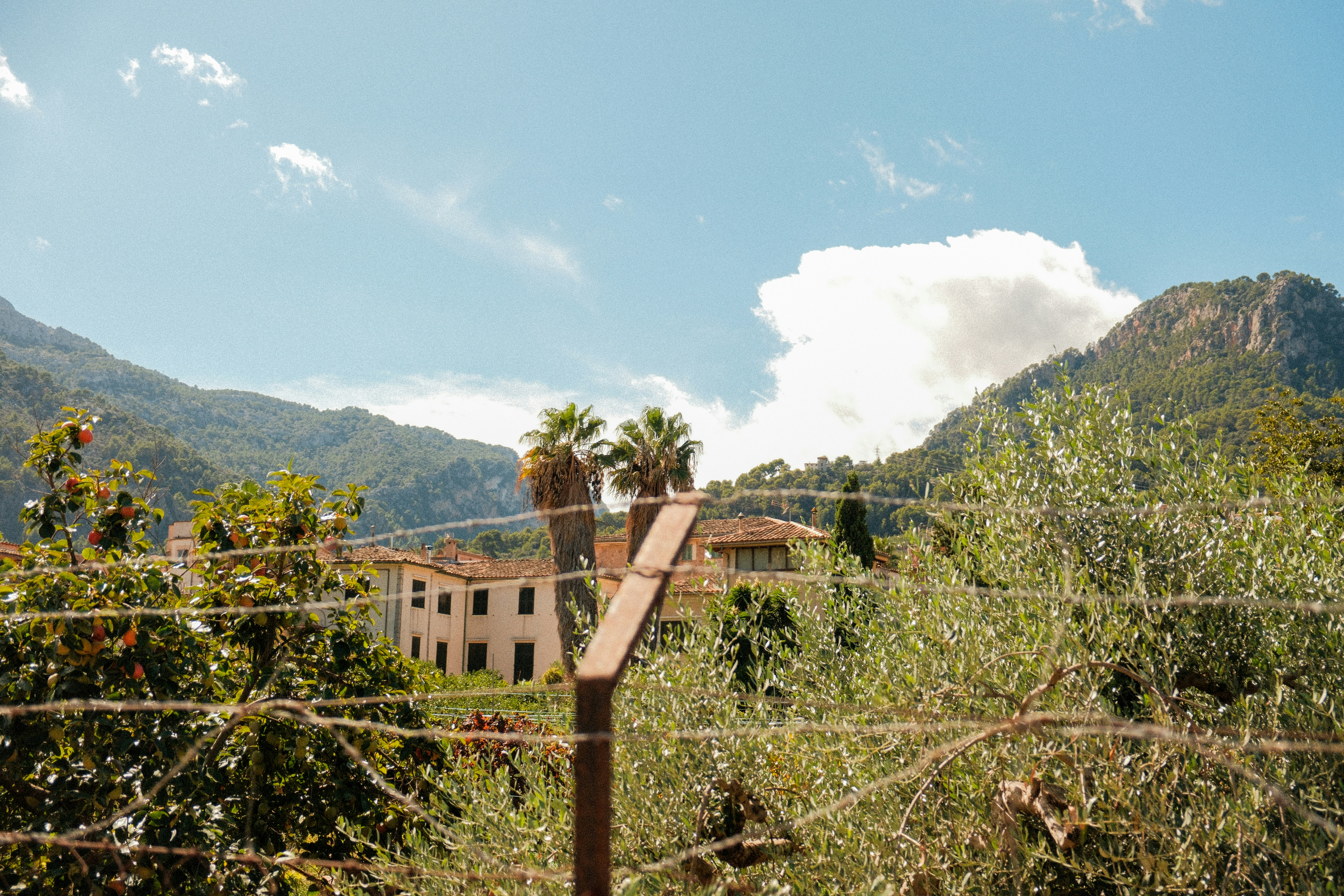 Photo by alexispresa