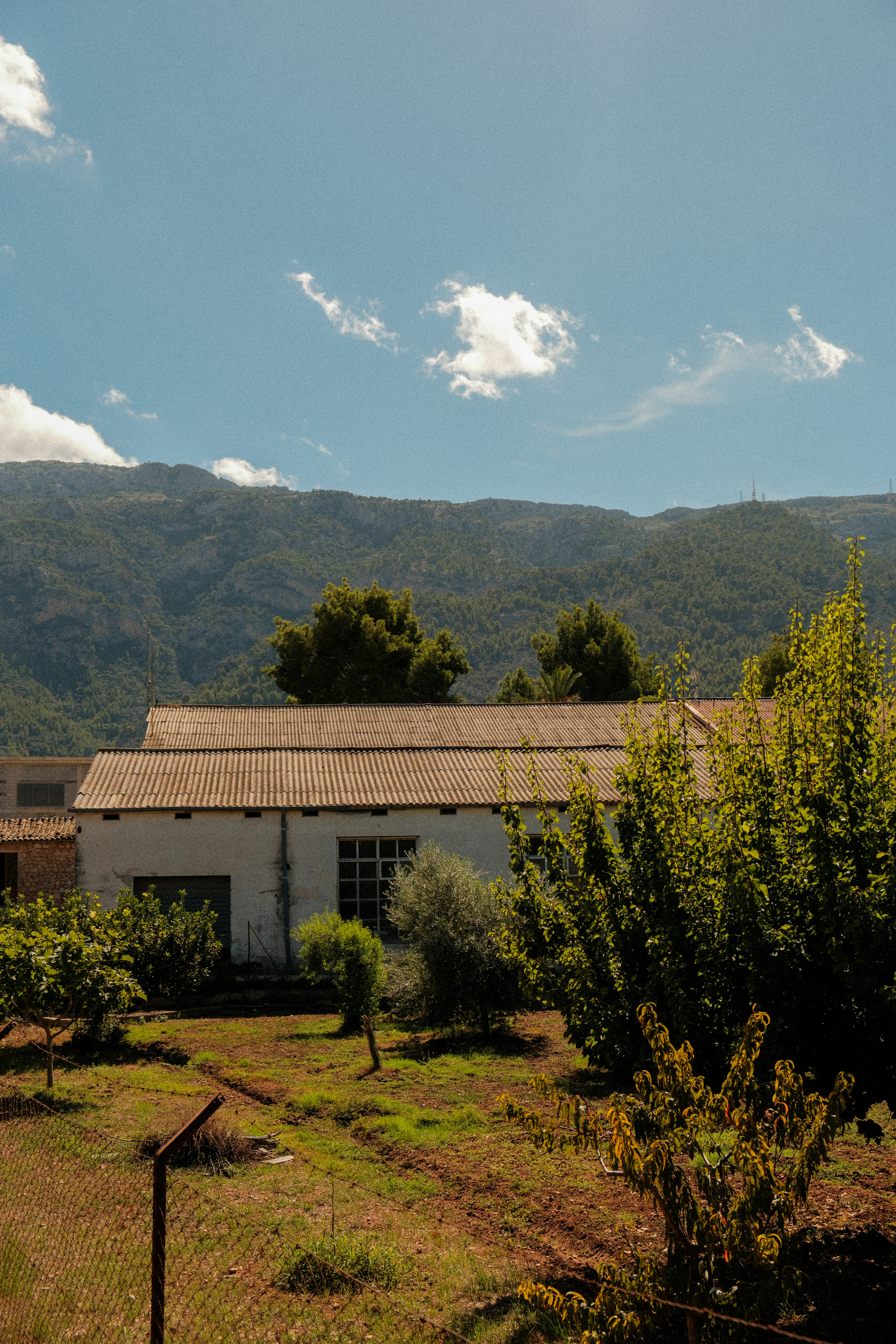 Photo by alexispresa