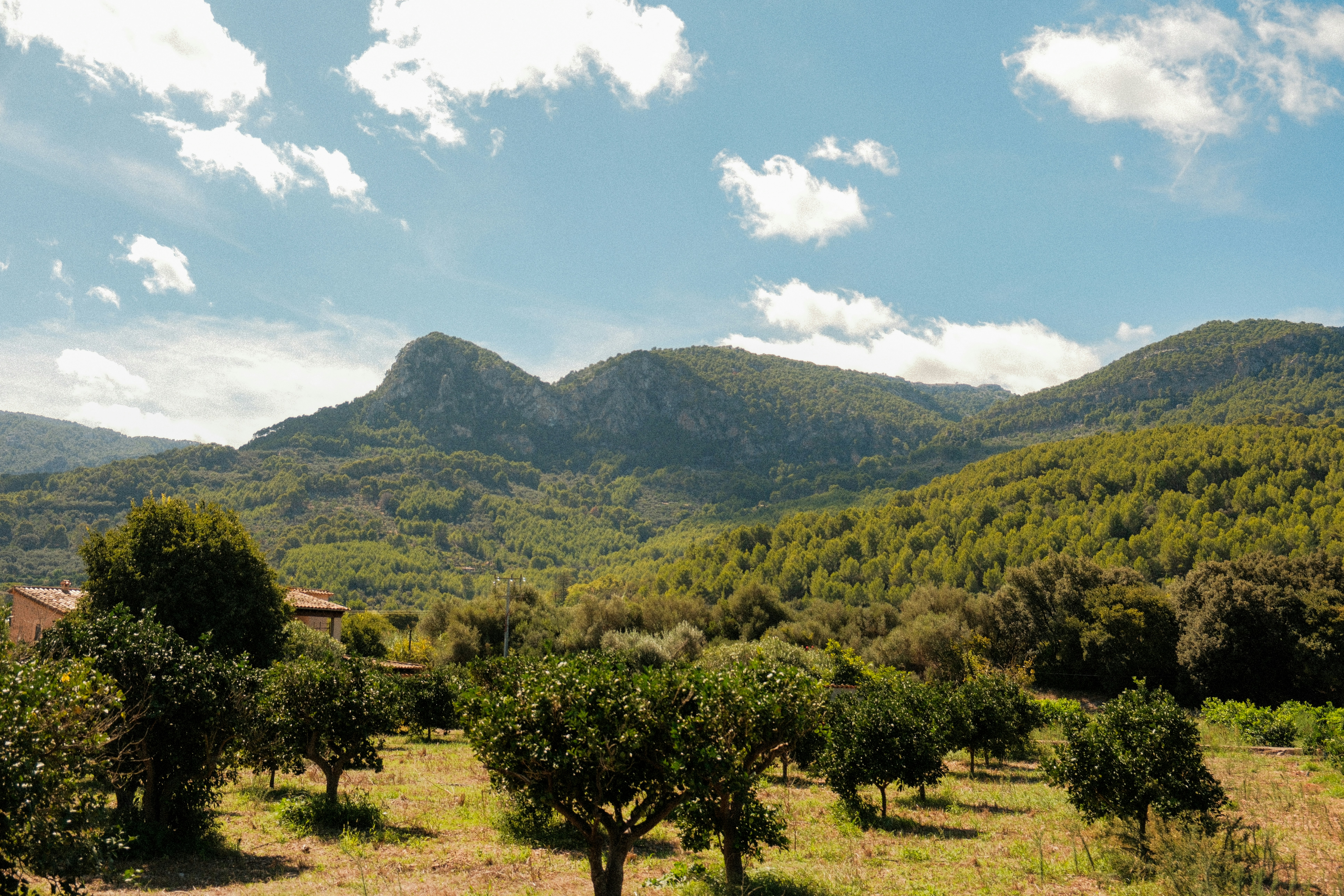 Photo by alexispresa