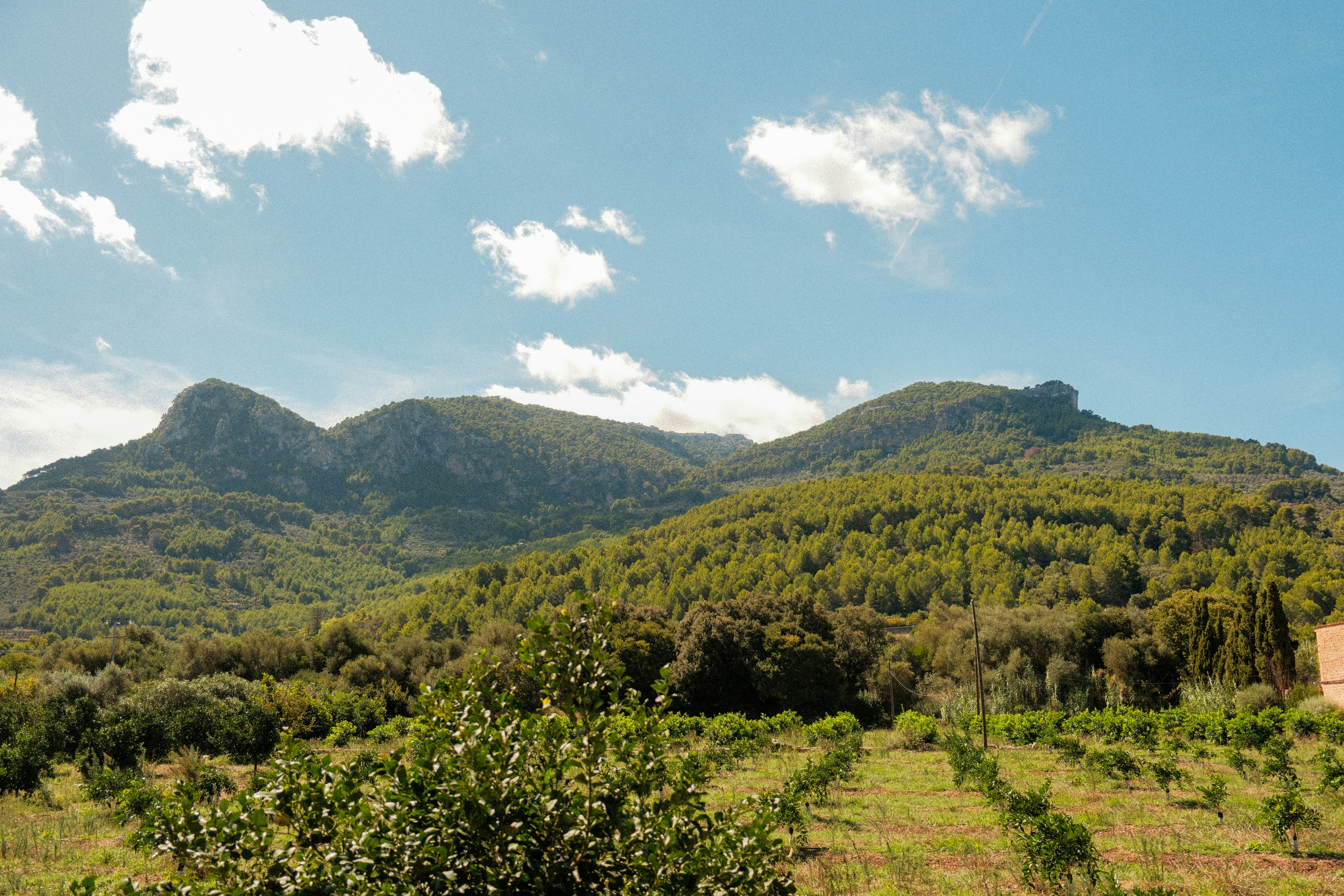 Photo by alexispresa