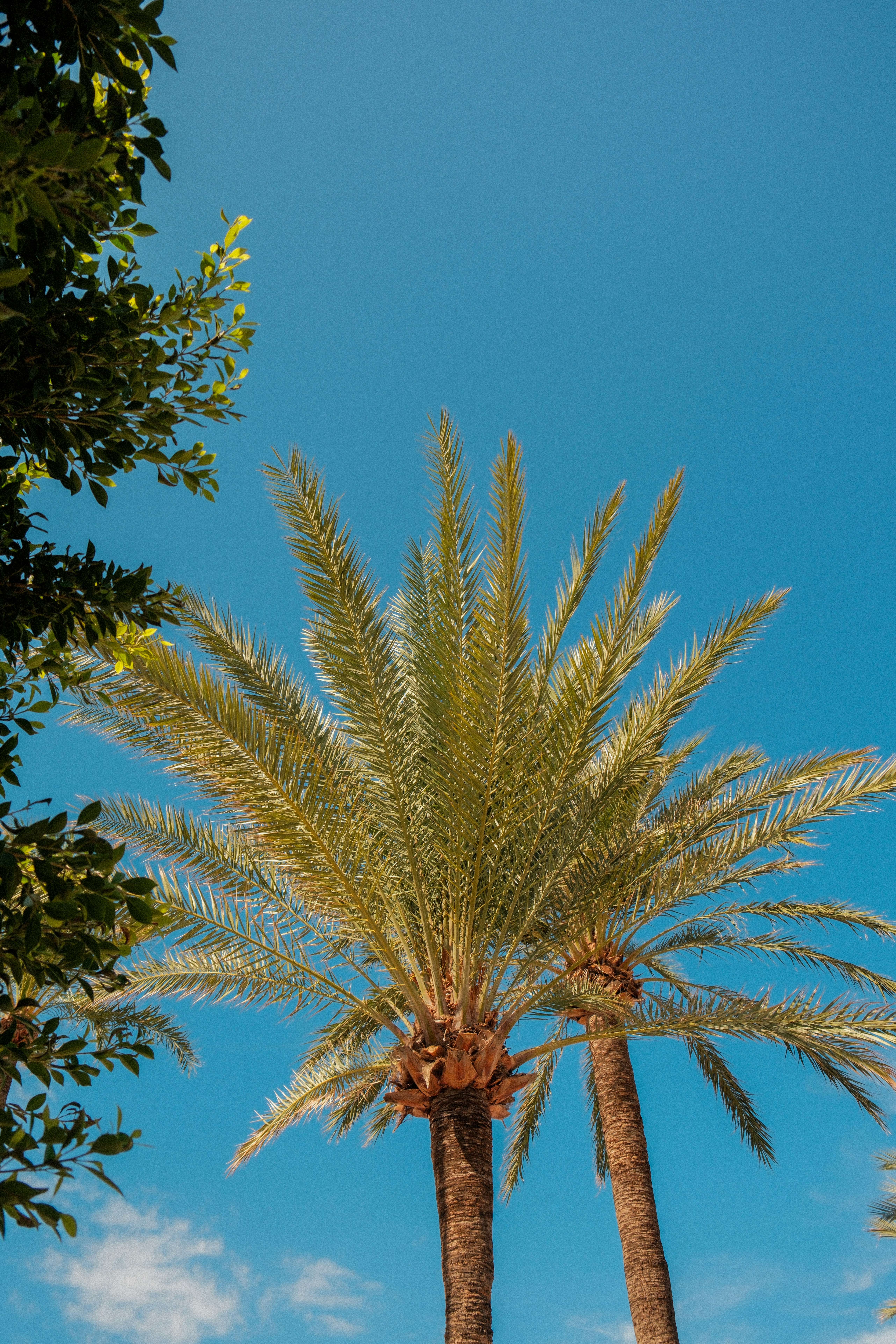 Photo by alexispresa