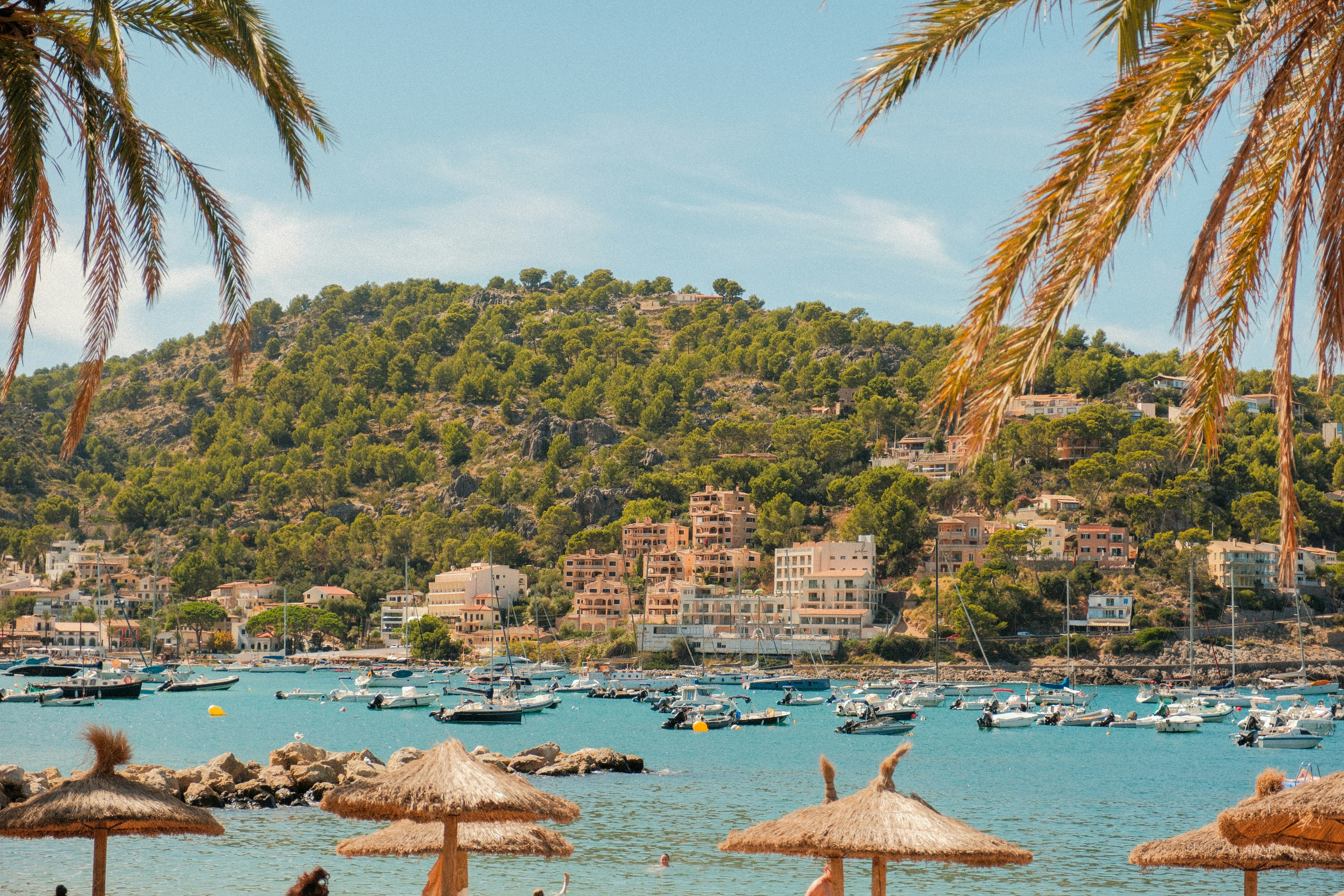Boats anchored in a bay with palm trees and buildings.