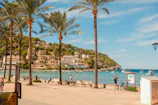 Palm trees line a sunny beach with town in background.