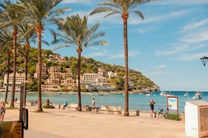 Palm trees line a sunny beach with town in background.