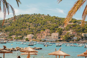 Boats anchored in a bay with palm trees and buildings.