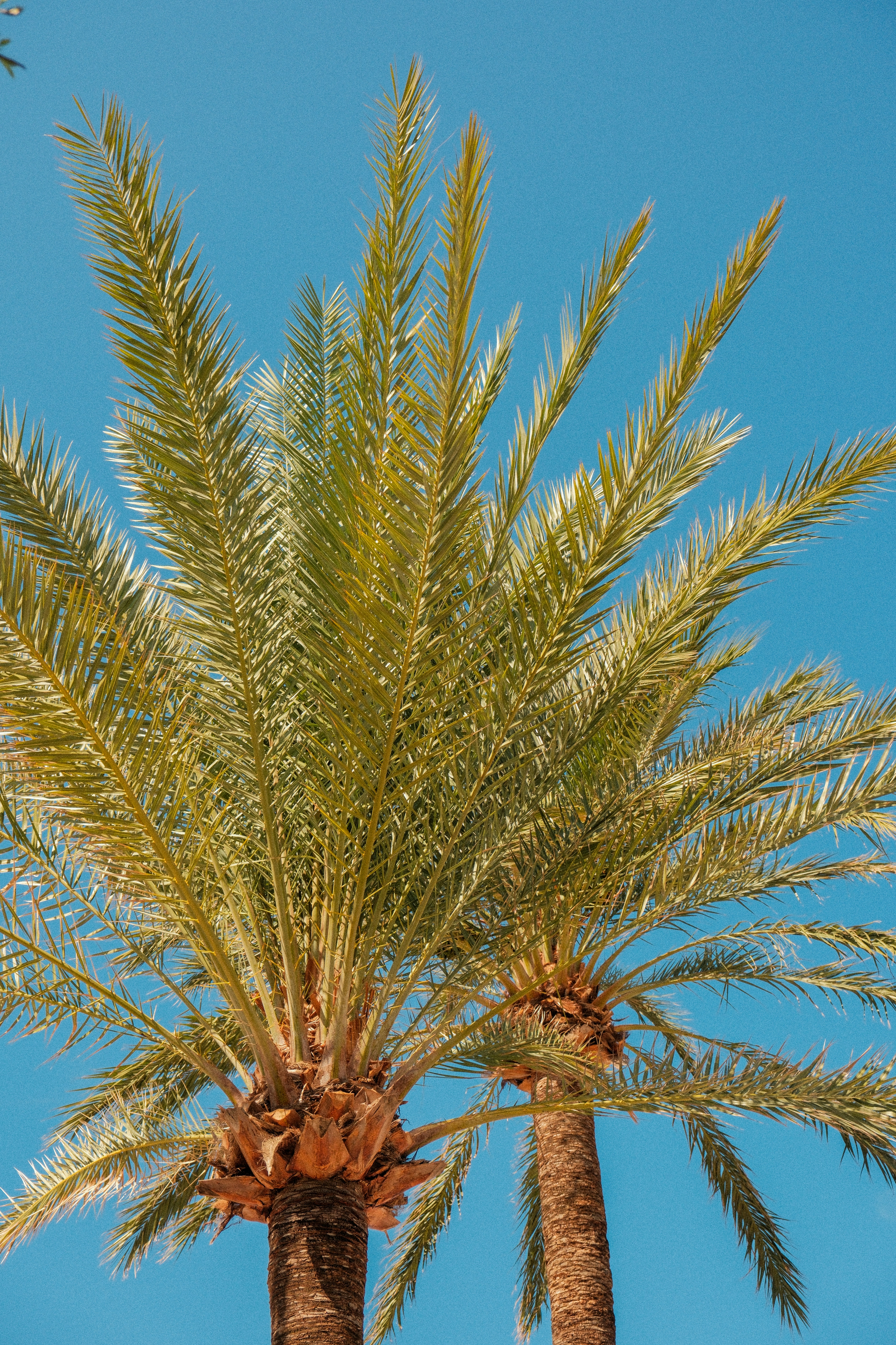 Photo by alexispresa