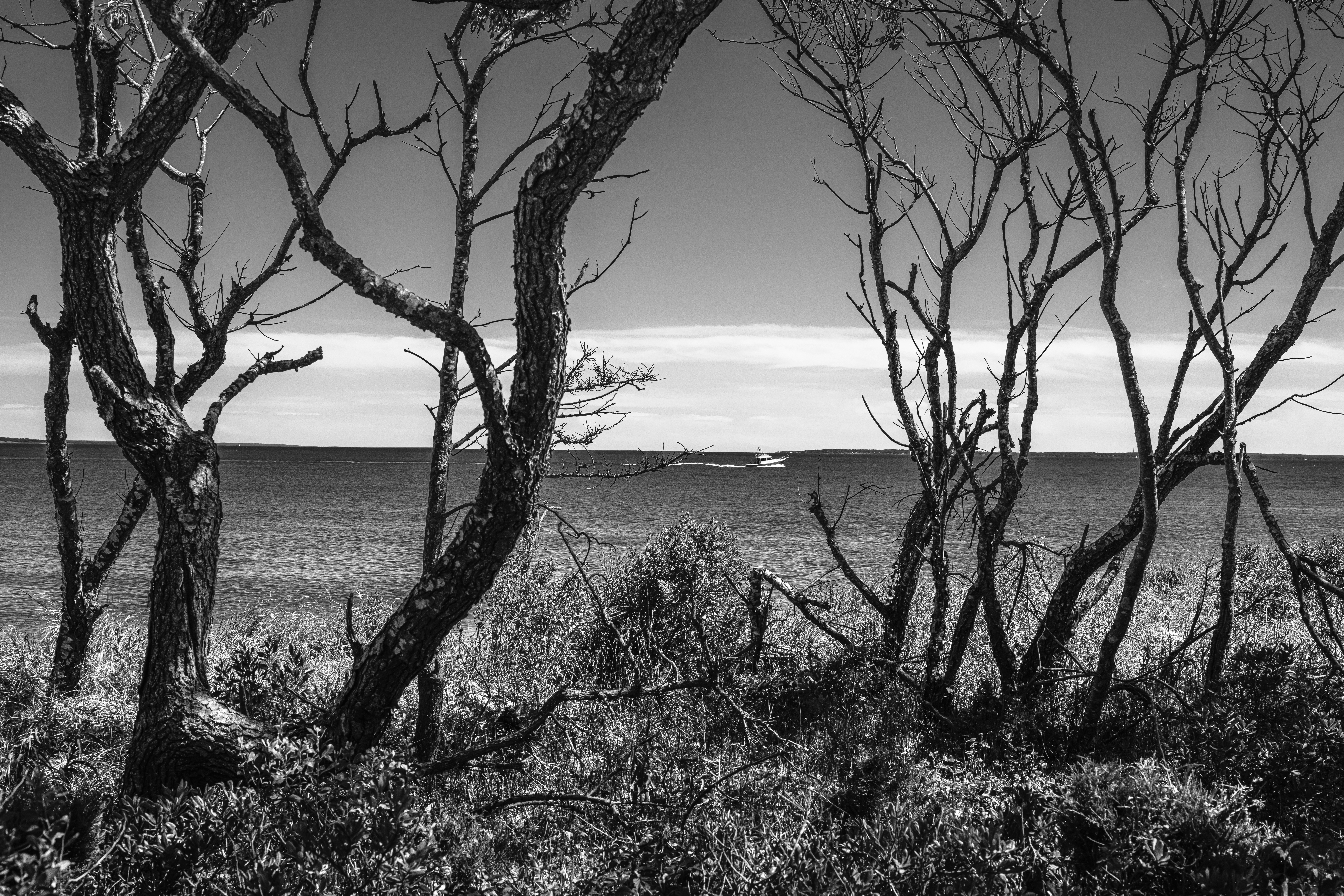 Photo by lumin_osity