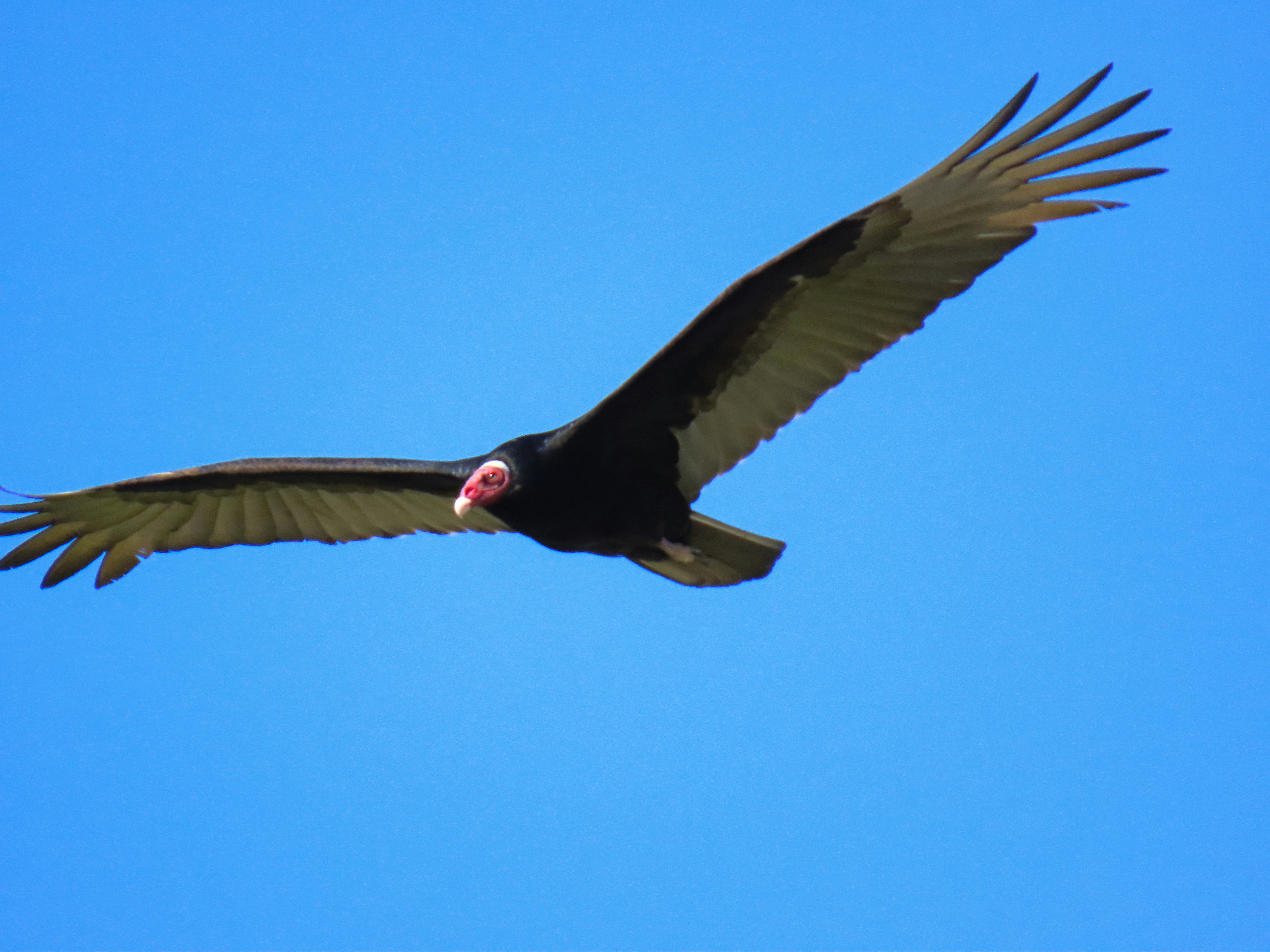 Photo by patricianicoloso