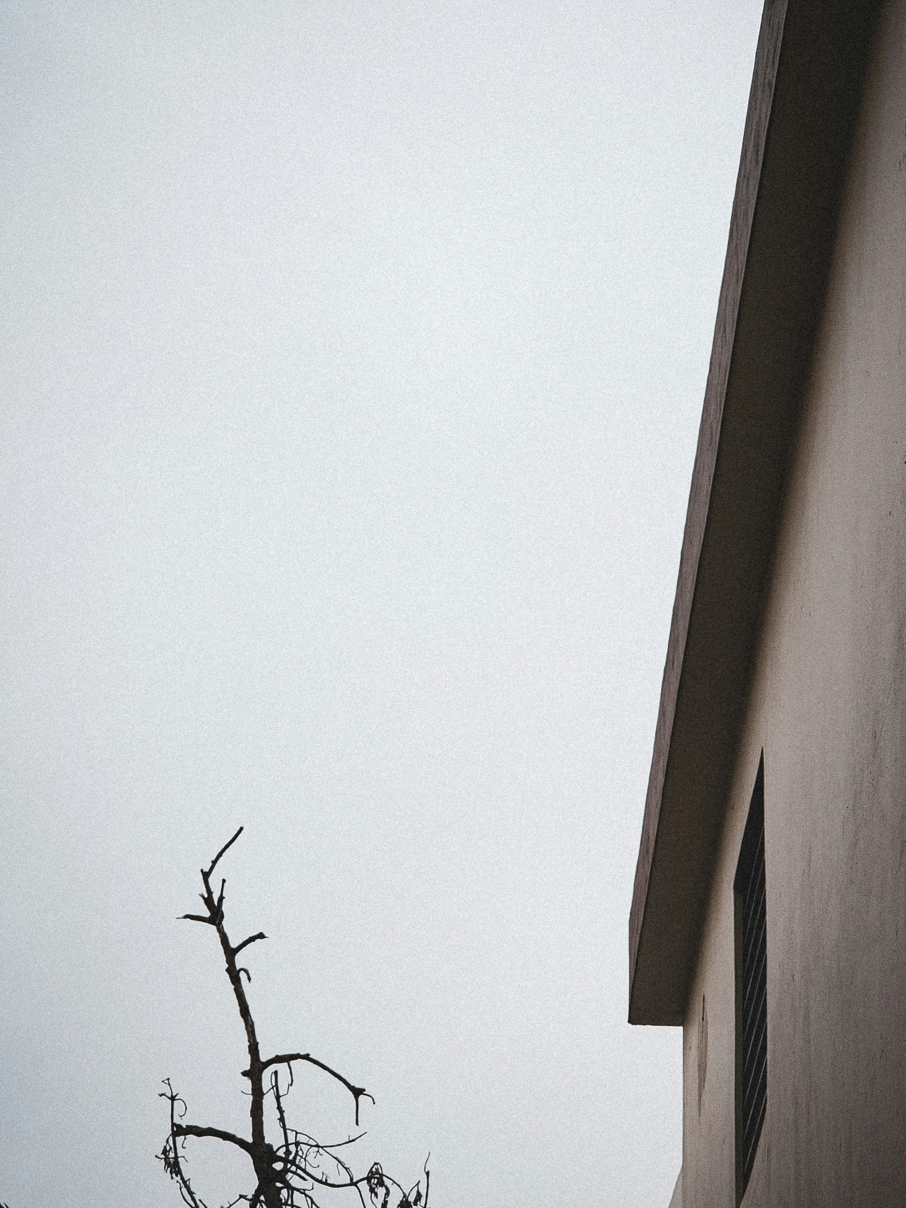 Photo by wegnerbsch04