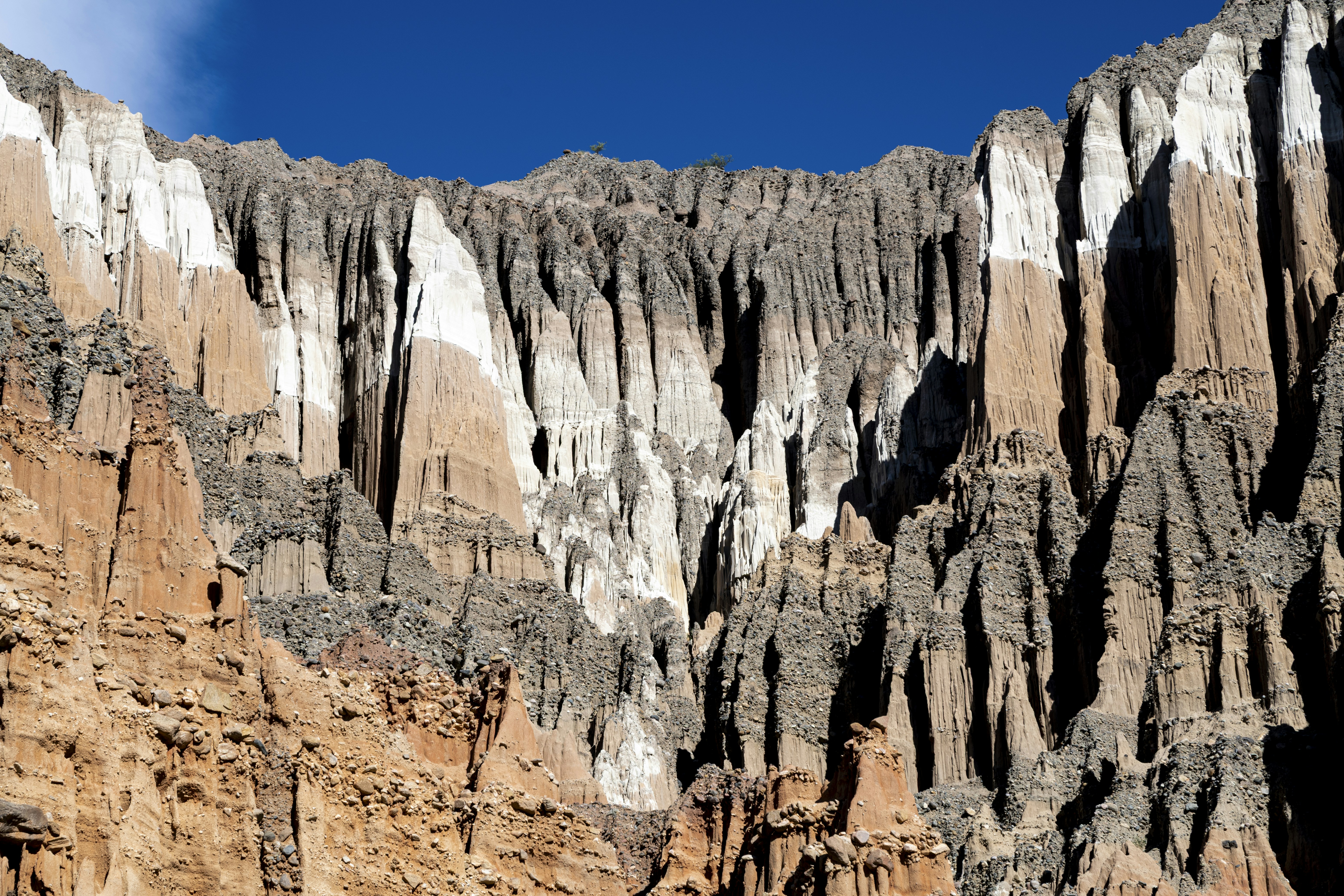 Photo by josevanasco