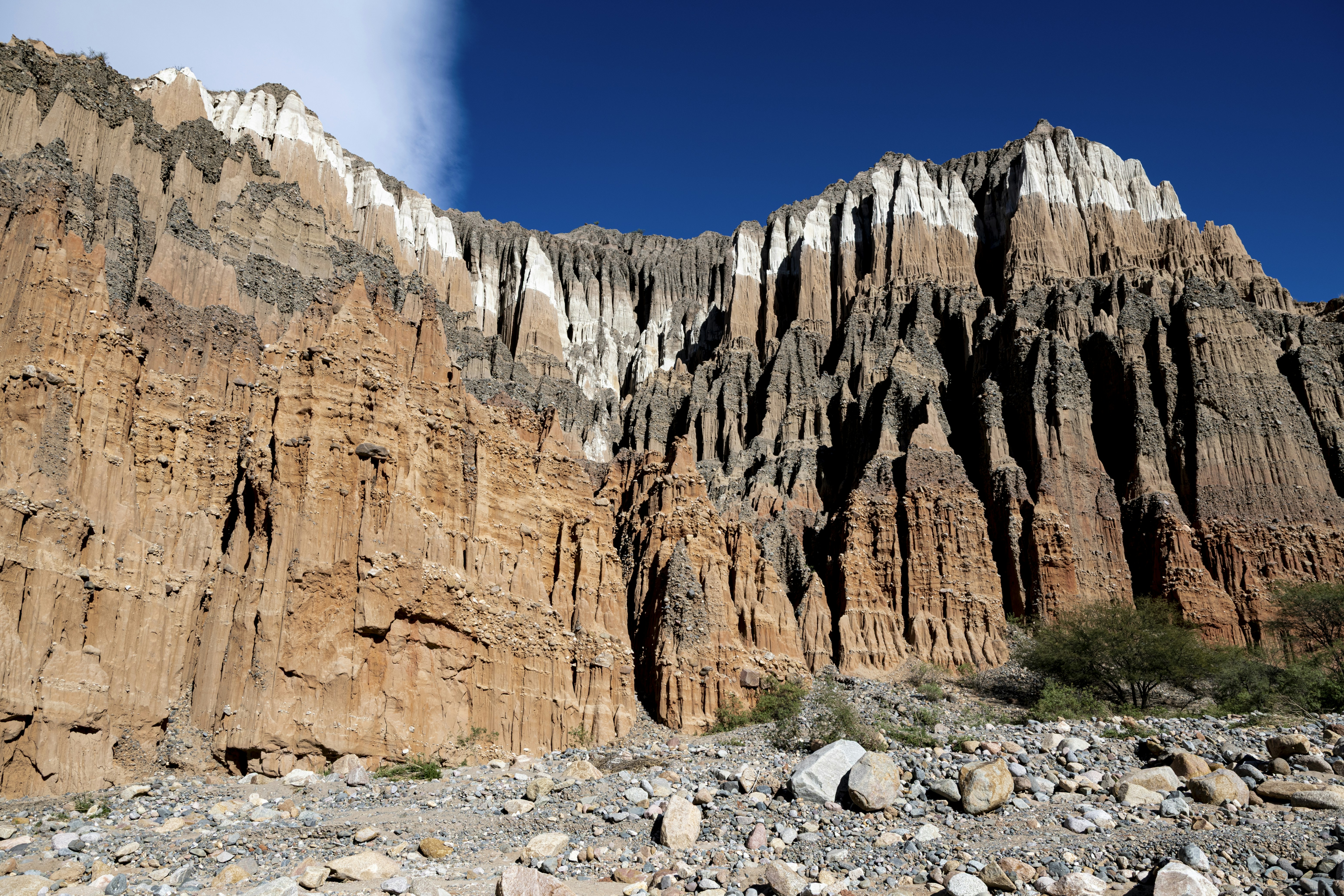 Photo by josevanasco