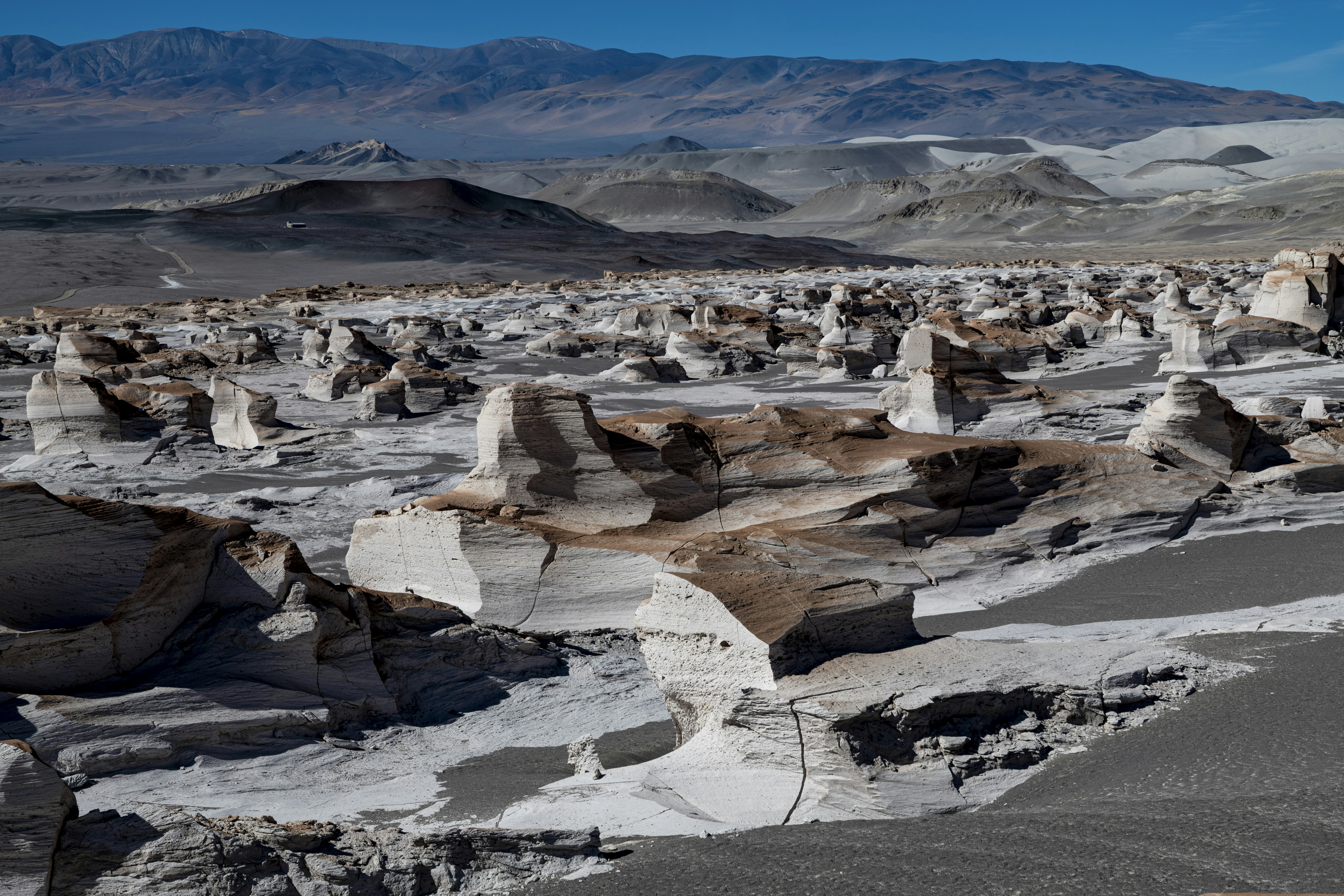 Photo by josevanasco