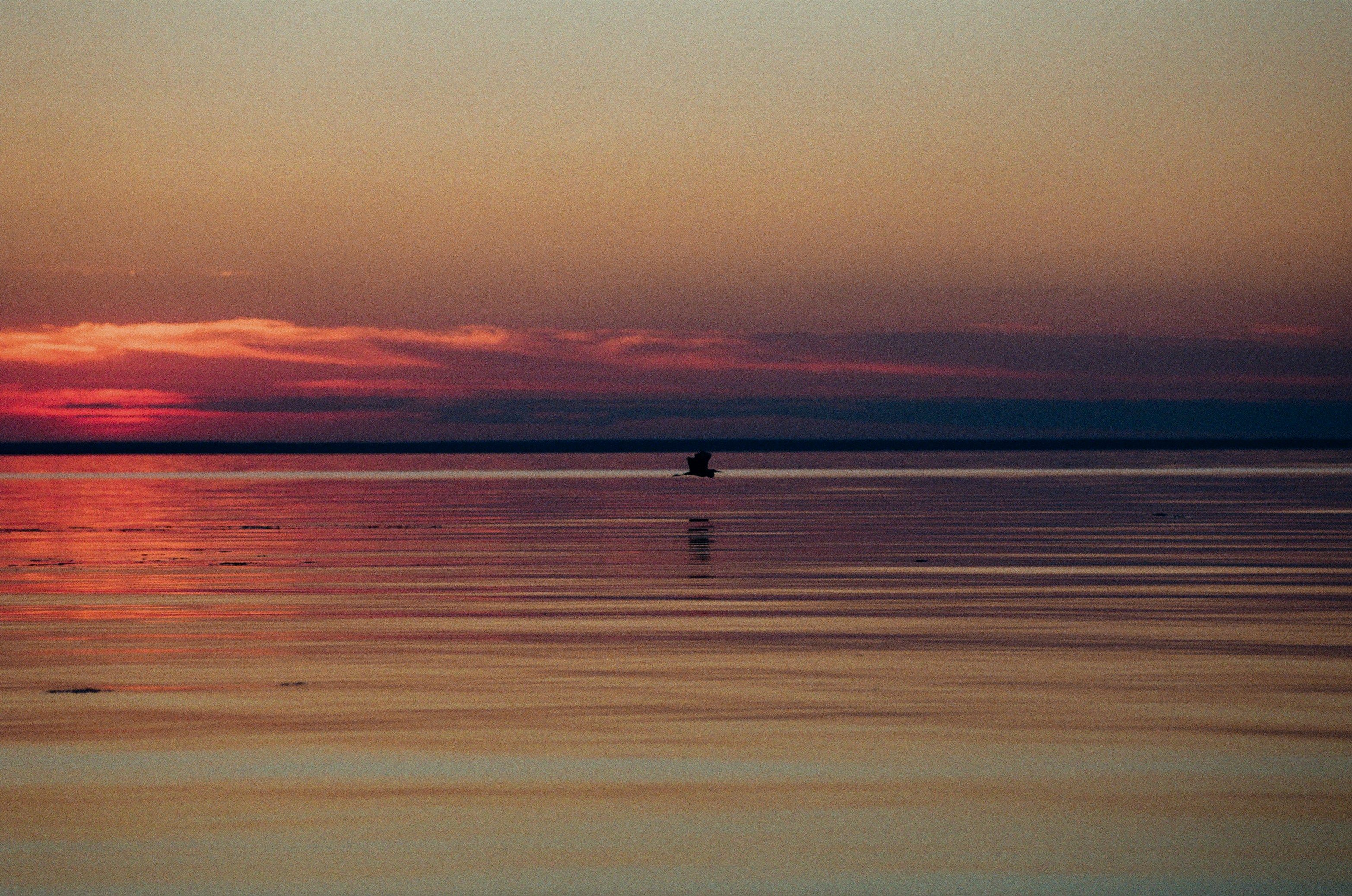 Location de voiture : les différentes formules expliquées.