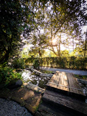 Sunlight streams through trees onto a wooden bridge and pond.