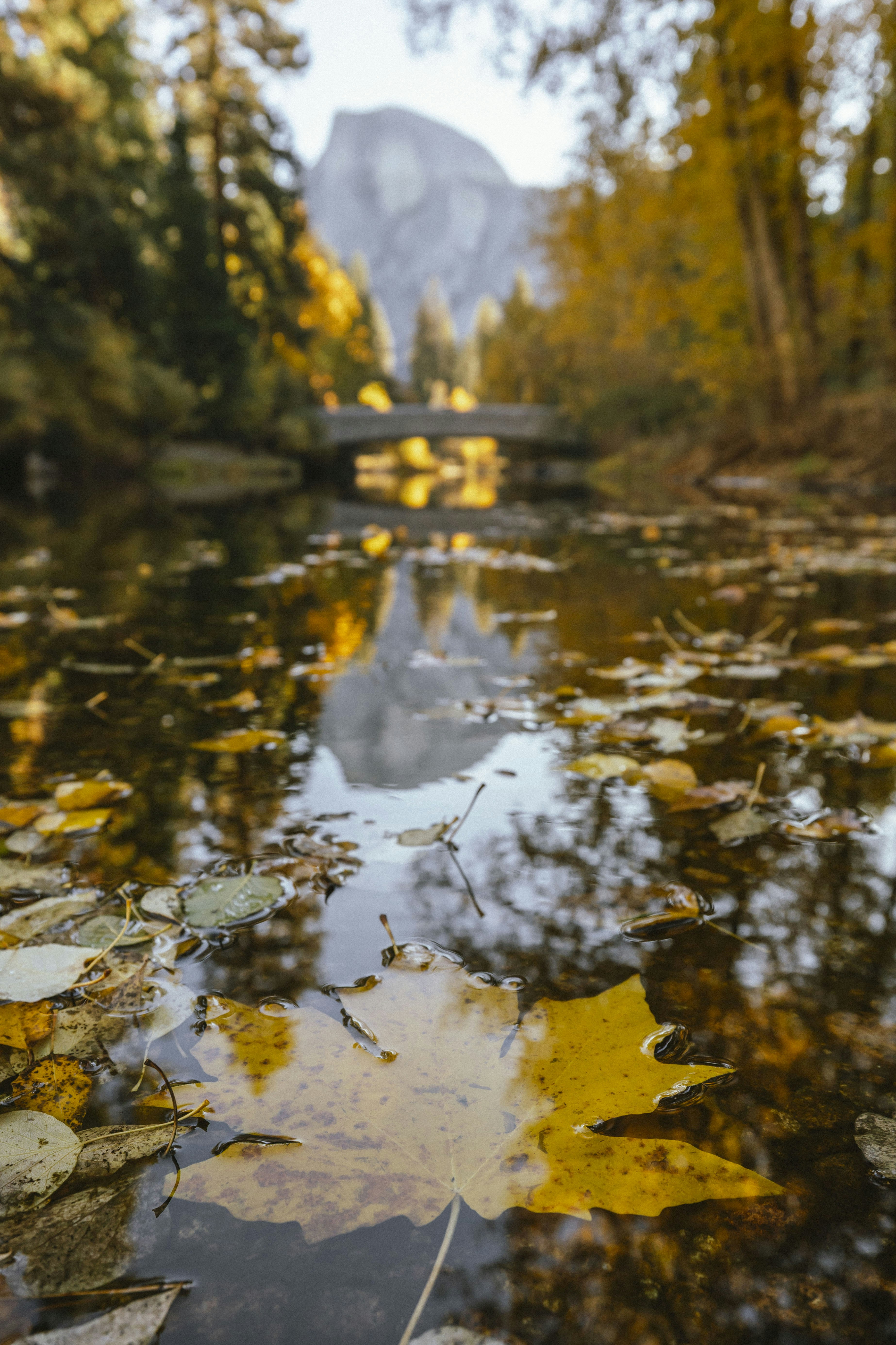 Photo by leo_visions_