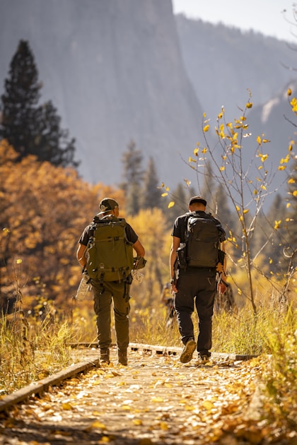 Dense forest floor with leaves where a hunter might follow a blood trail