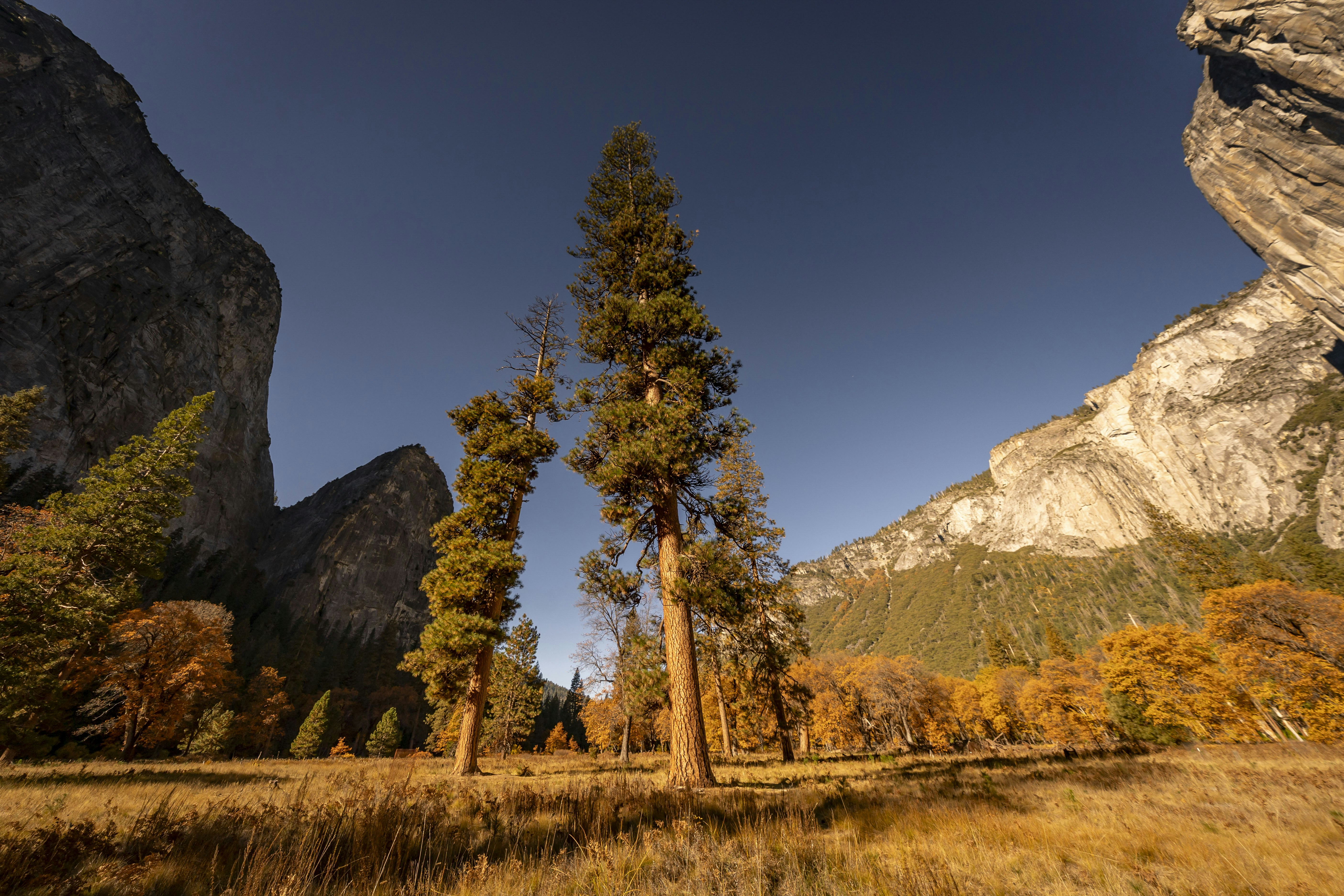 Photo by leo_visions_