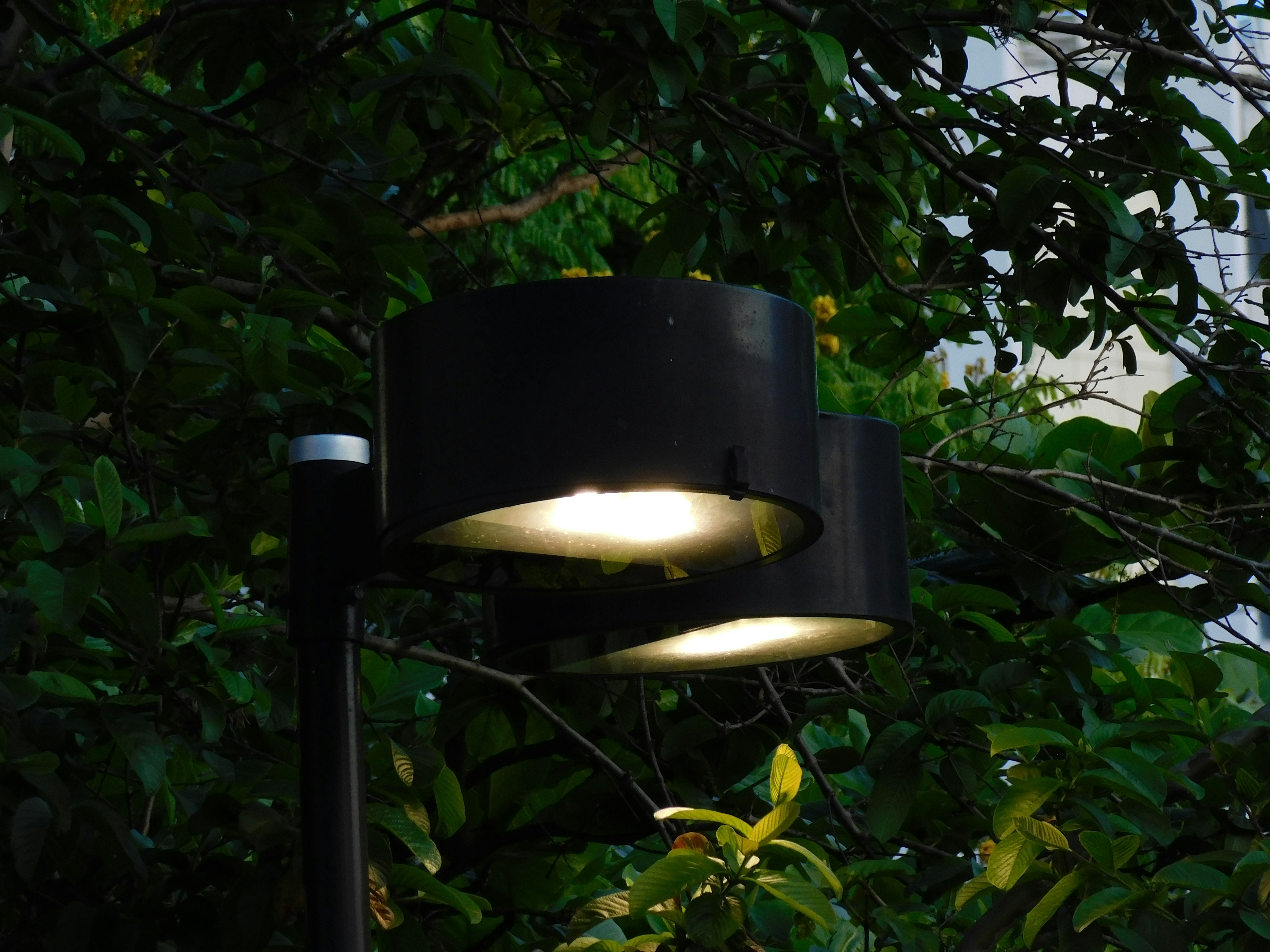 Two black outdoor lamps illuminated at dusk