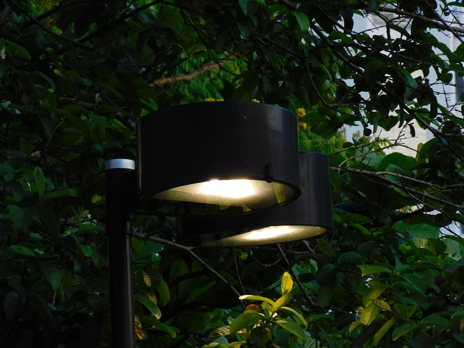 Outdoor lamps lit at dusk