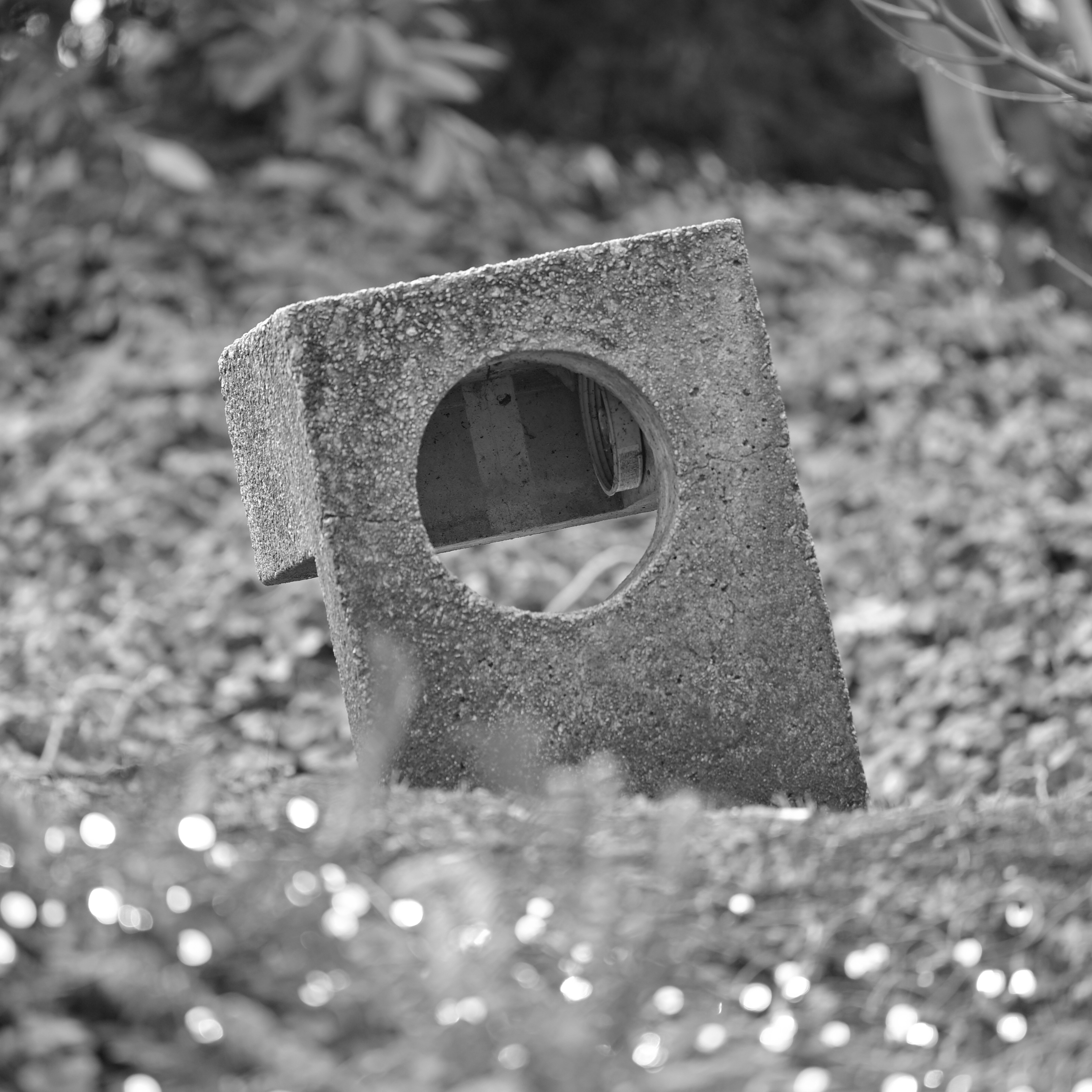 Photo by jonathankslim