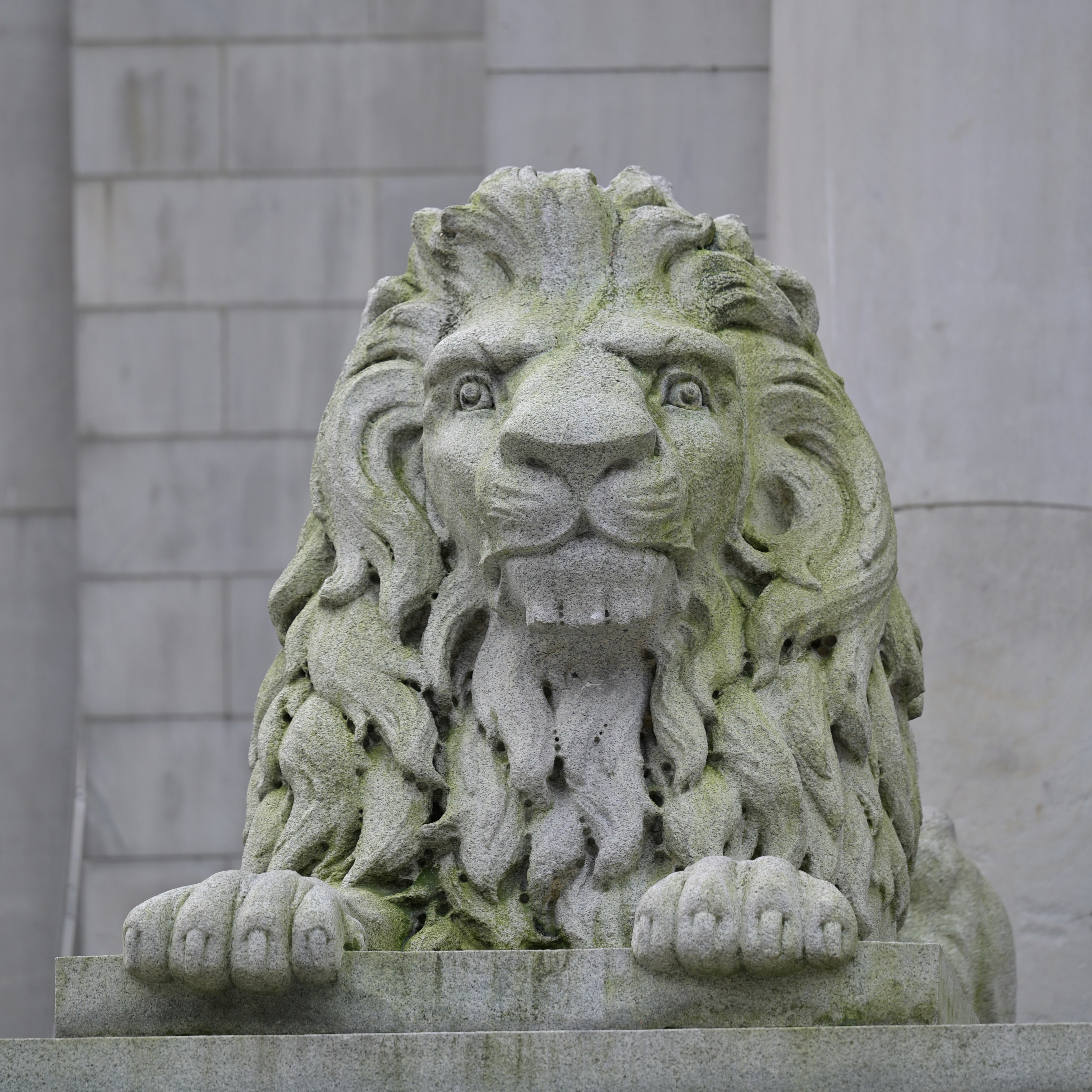 Photo by jonathankslim