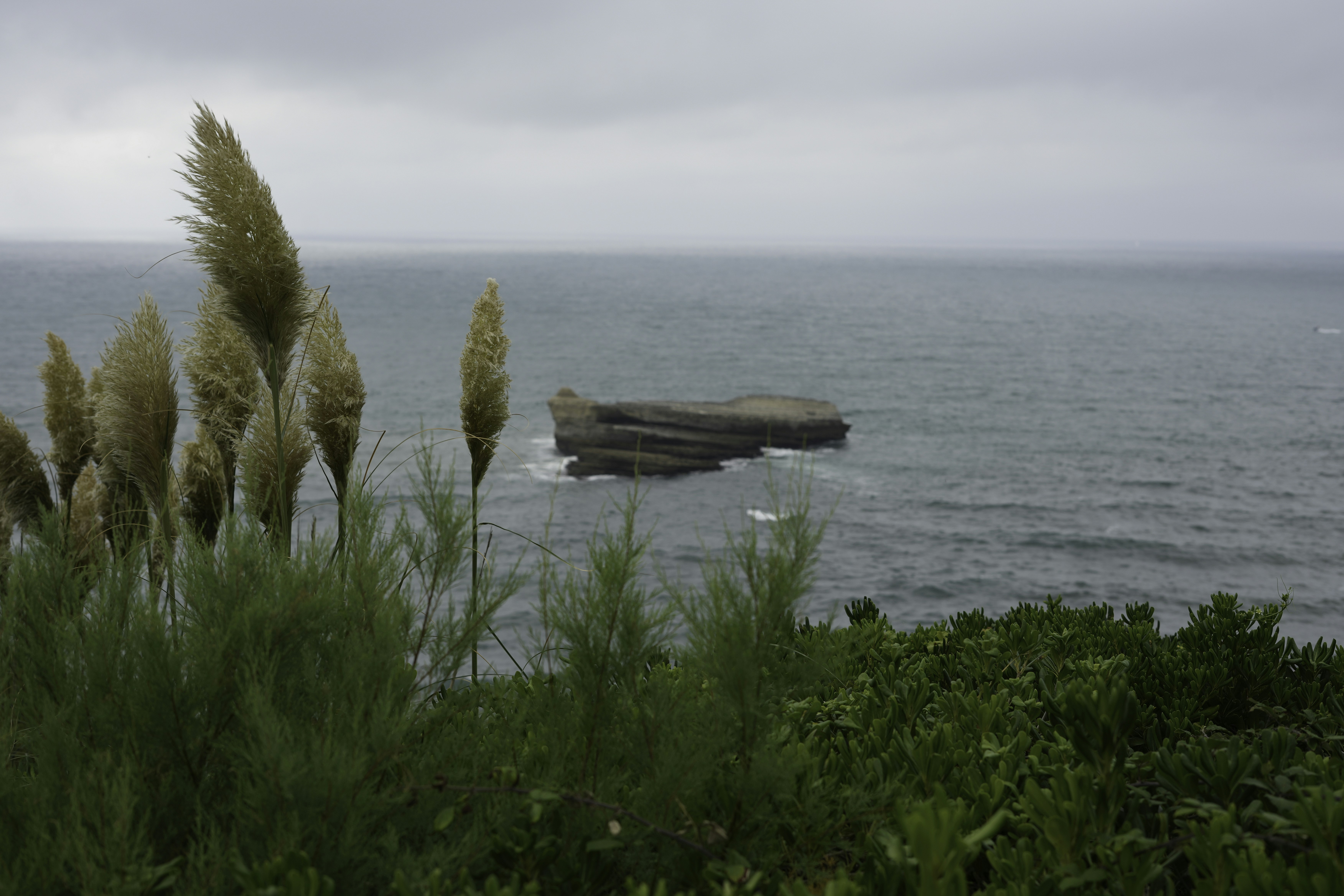 Tall grasses and ocean with rock formation