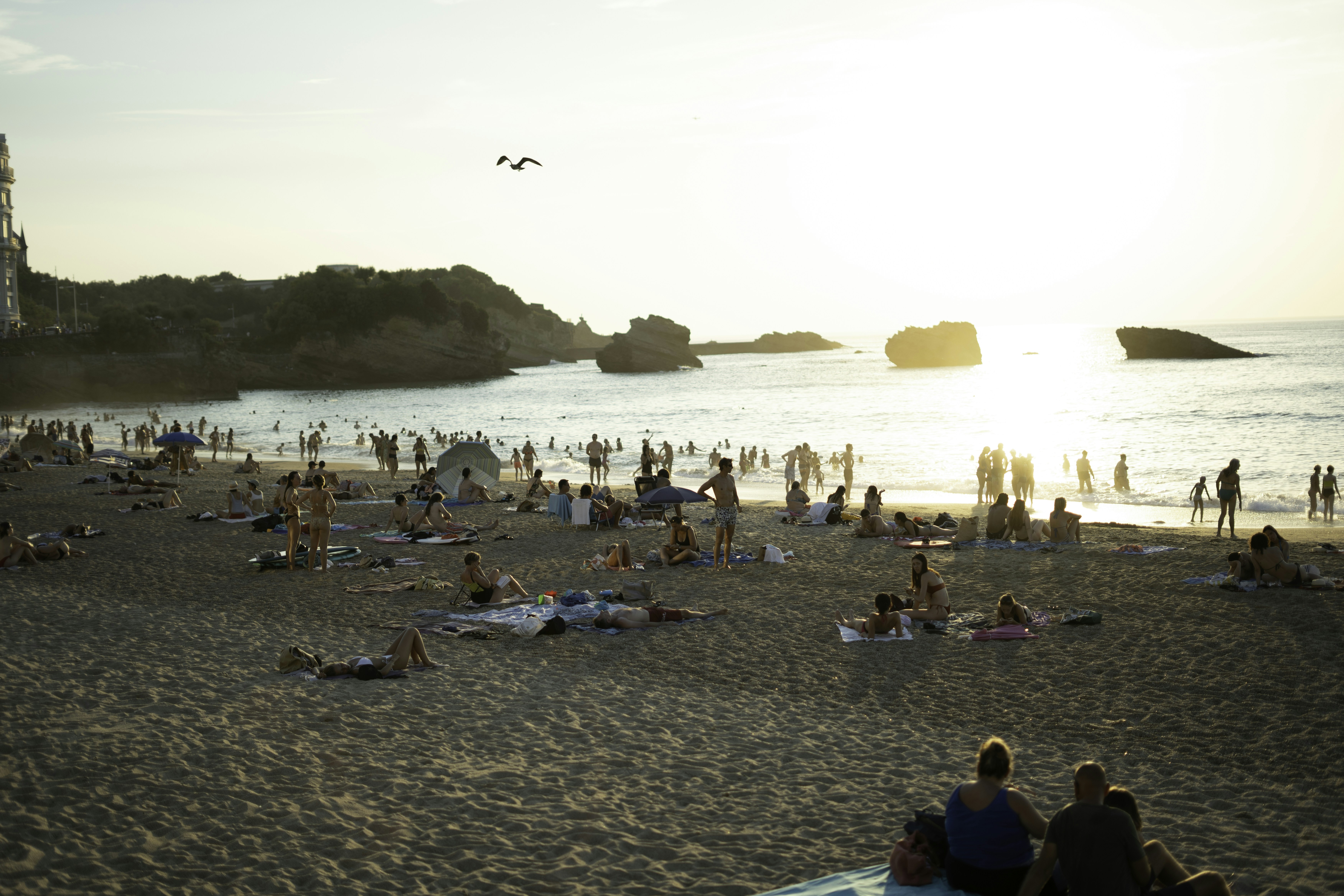 People relaxing on a sandy beach at sunset