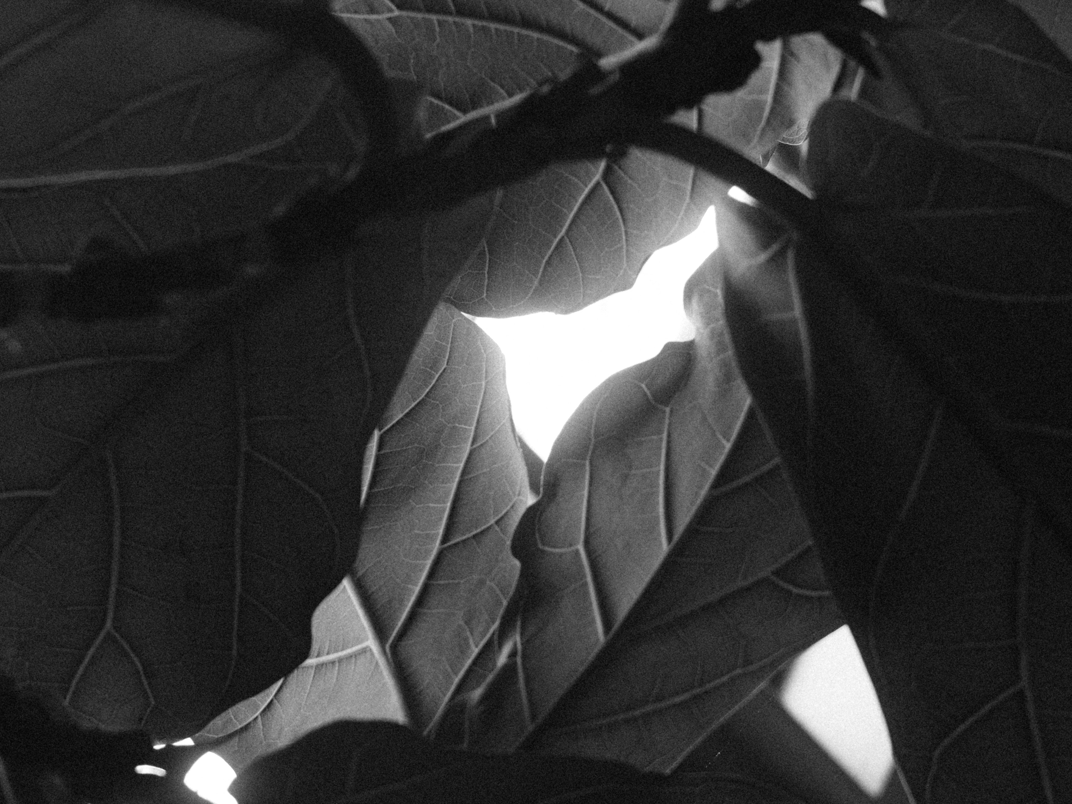 Photo by arsmoriendi