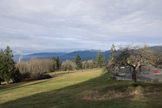 Grassy hill with trees and distant mountains under cloudy sky