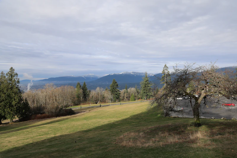 Empty residential lot before construction
