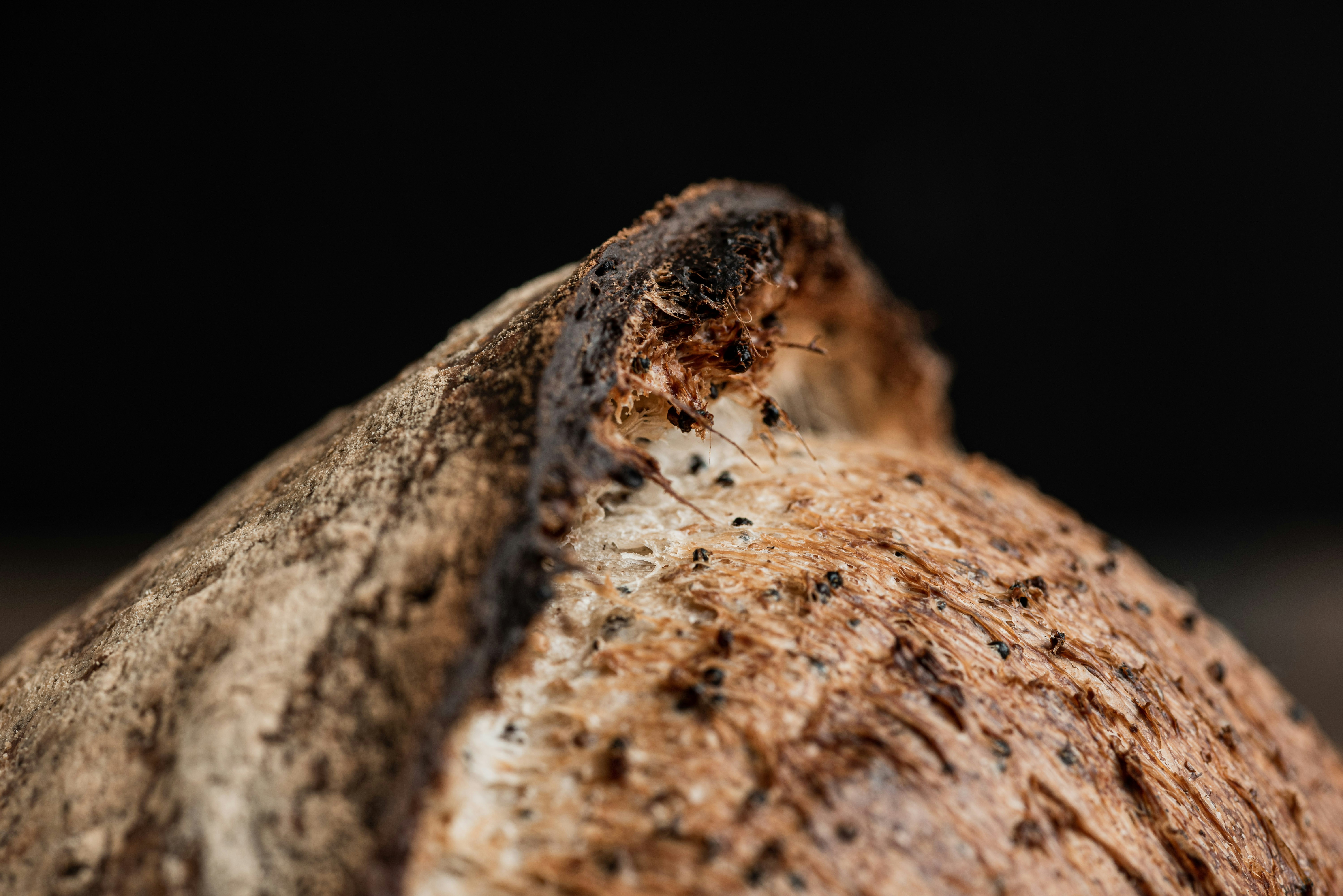 Photo by diegoarenasderodrigo