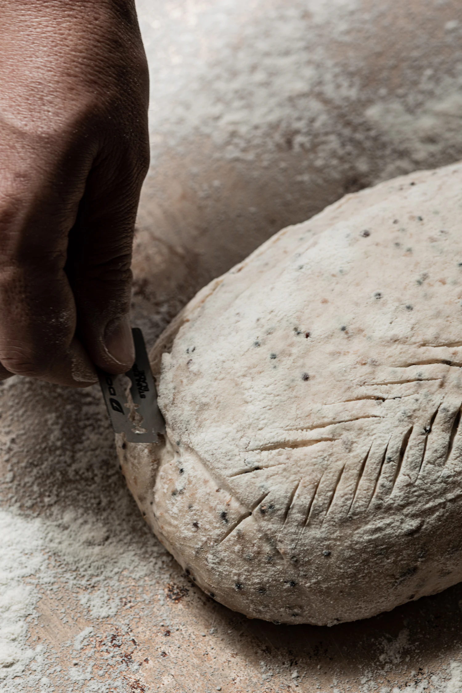 A blade drawn across the top of a floured boule, cutting a curve into the skin