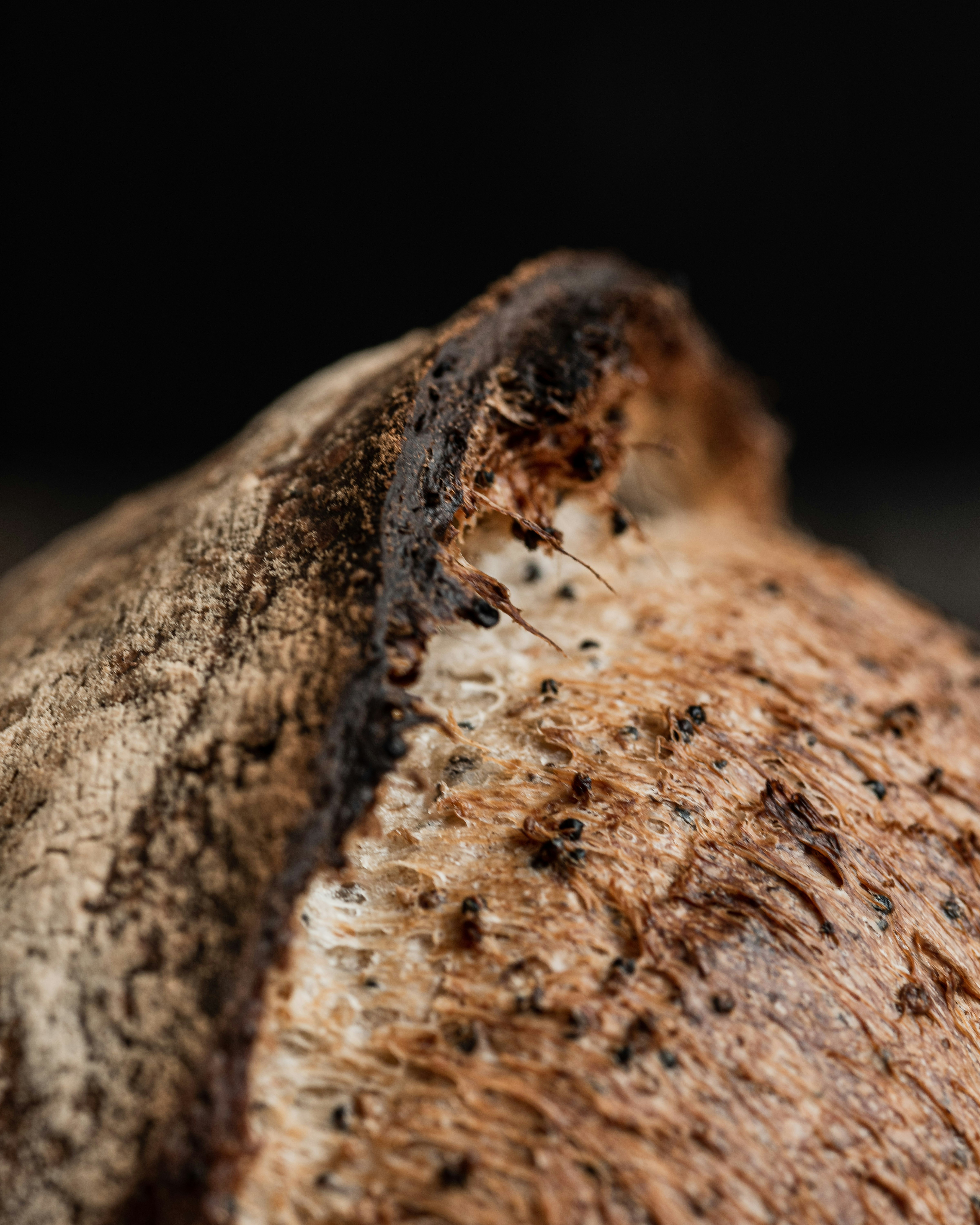 Photo by diegoarenasderodrigo