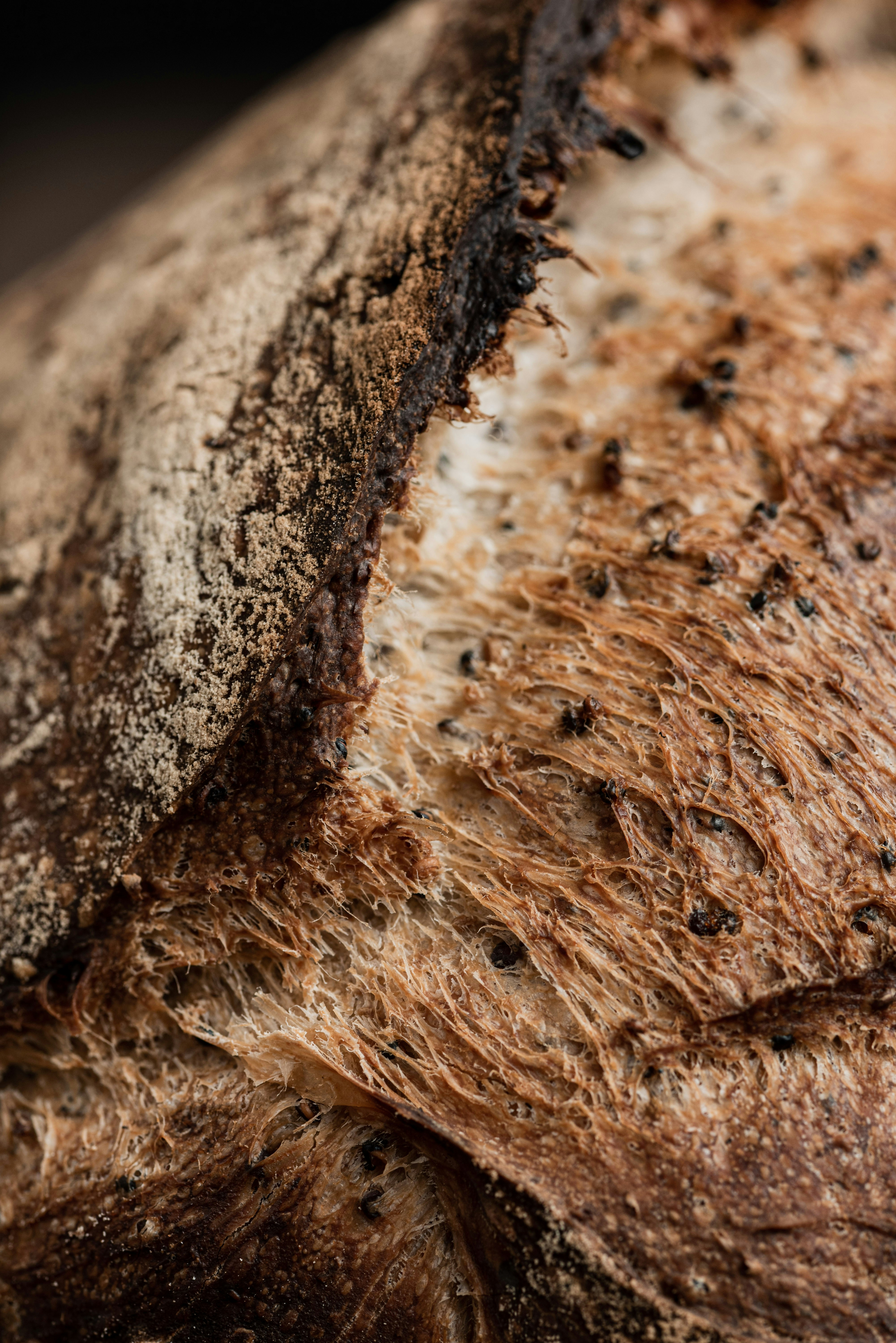 Photo by diegoarenasderodrigo