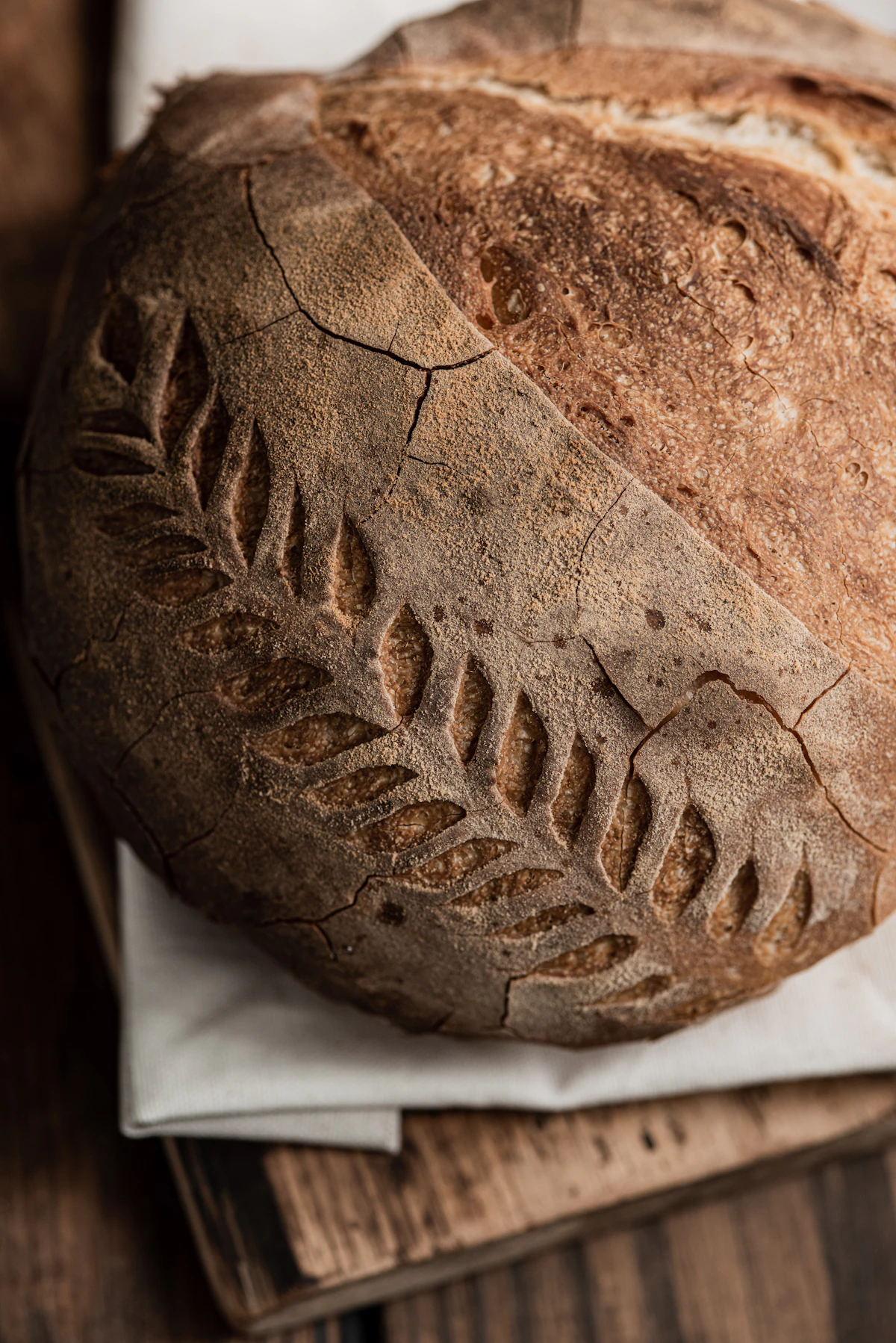 Round sourdough-style loaf with a scored crust