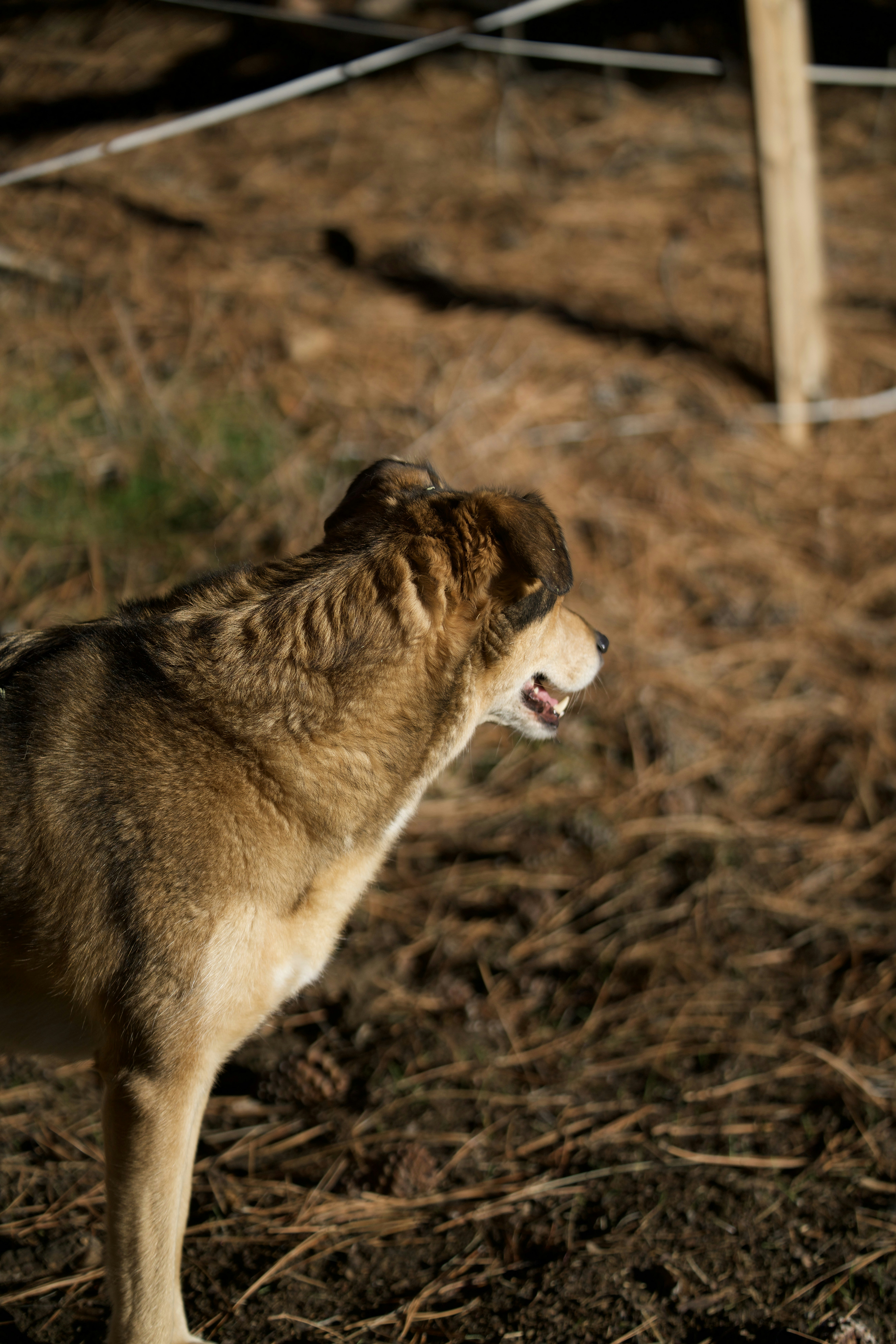 Photo by nathaniel2010