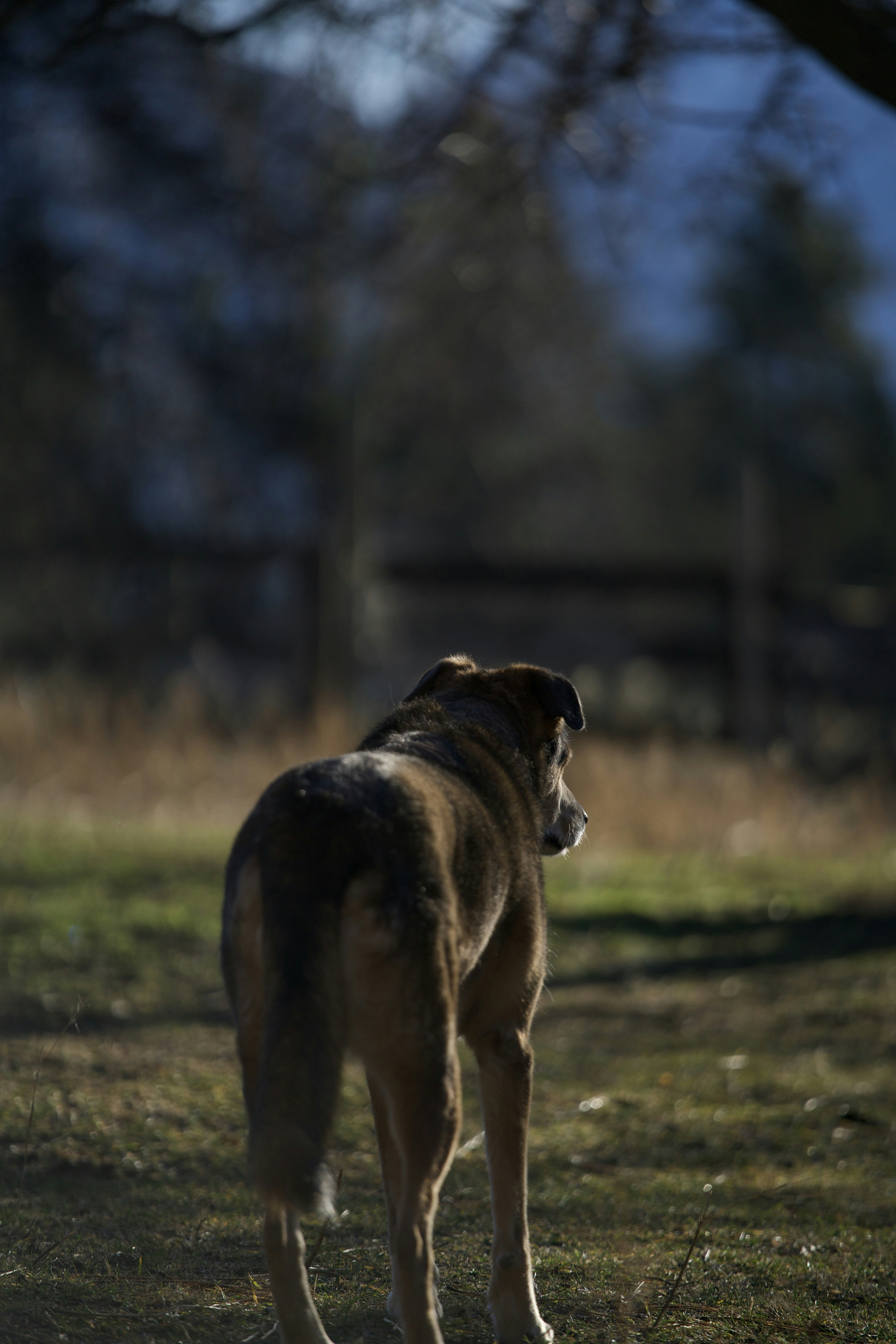 Photo by nathaniel2010