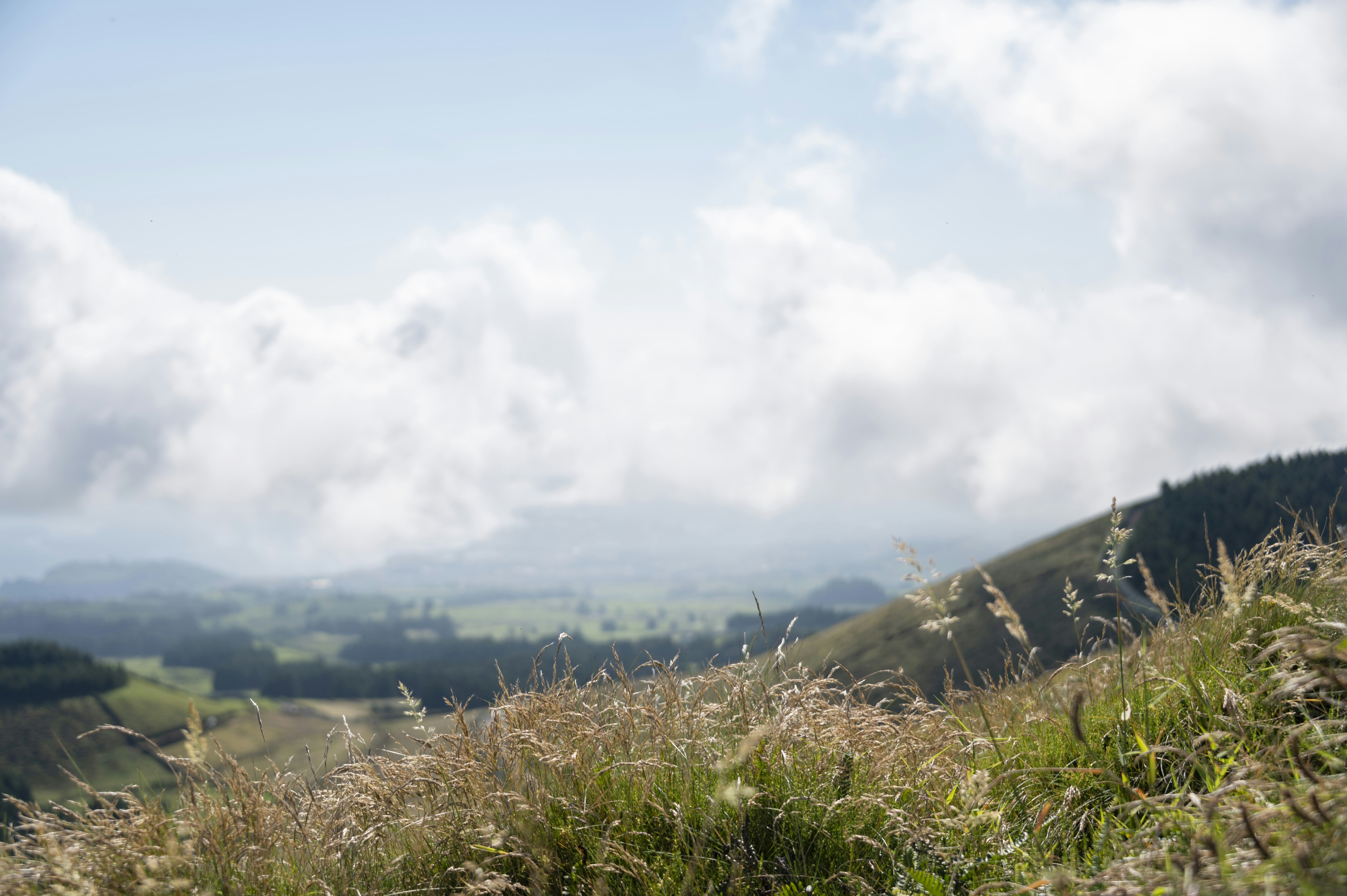 Photo by marianne_lariviere