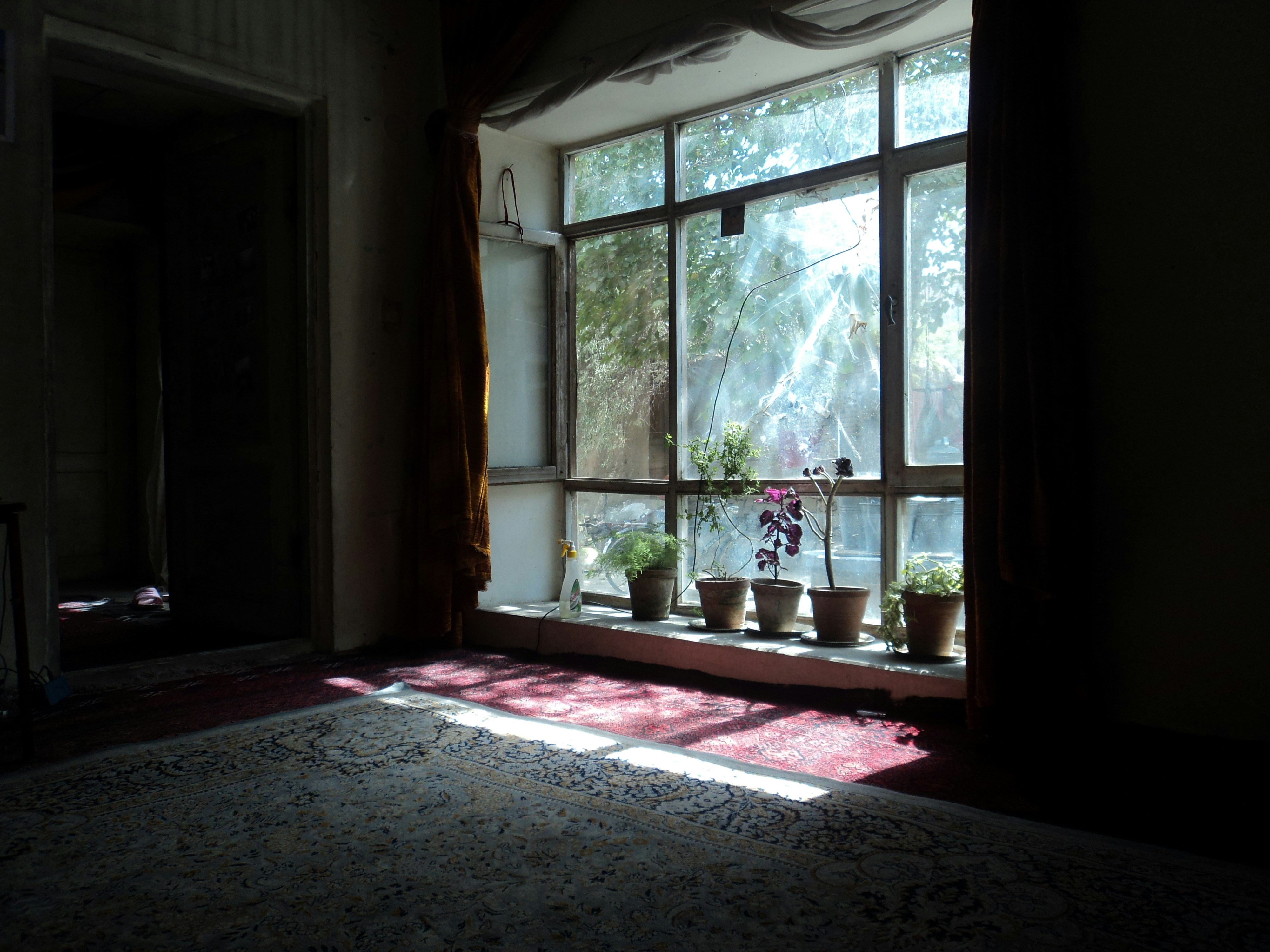 Strong spirits: who is this?