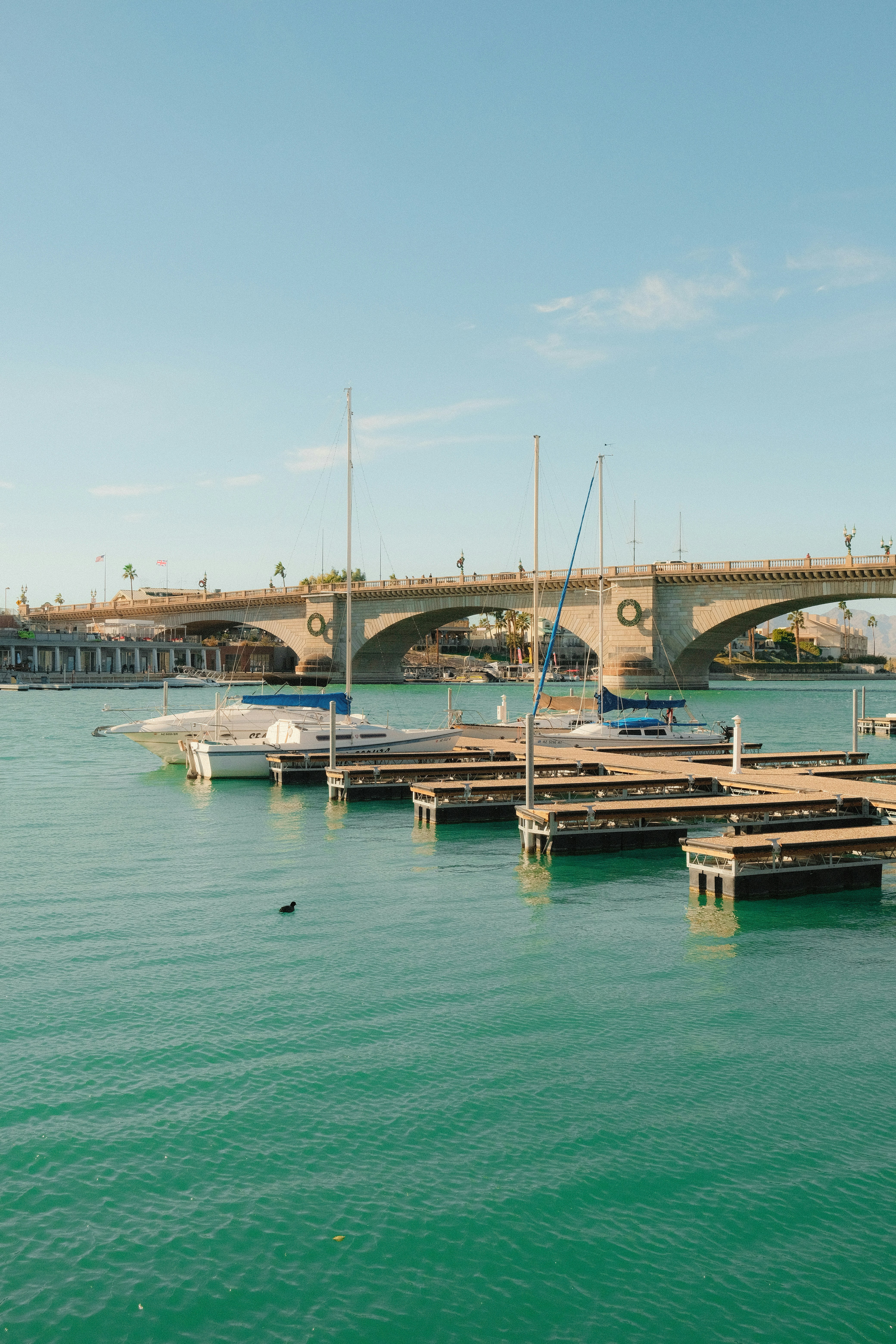Segelboote legten an einem Yachthafen mit Brückenhintergrund an.