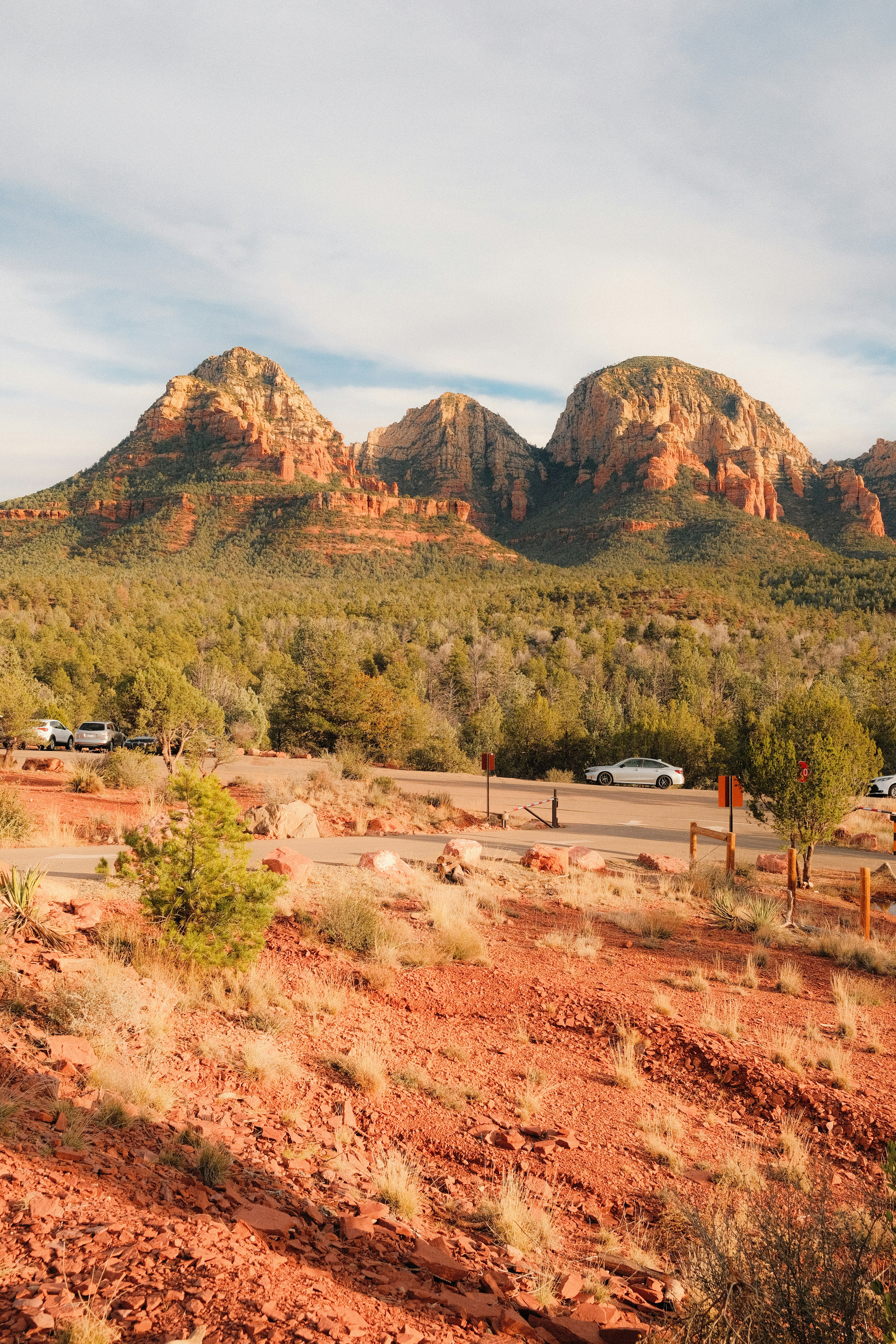 Rote Felsformationen mit grünen Bäumen und Autos