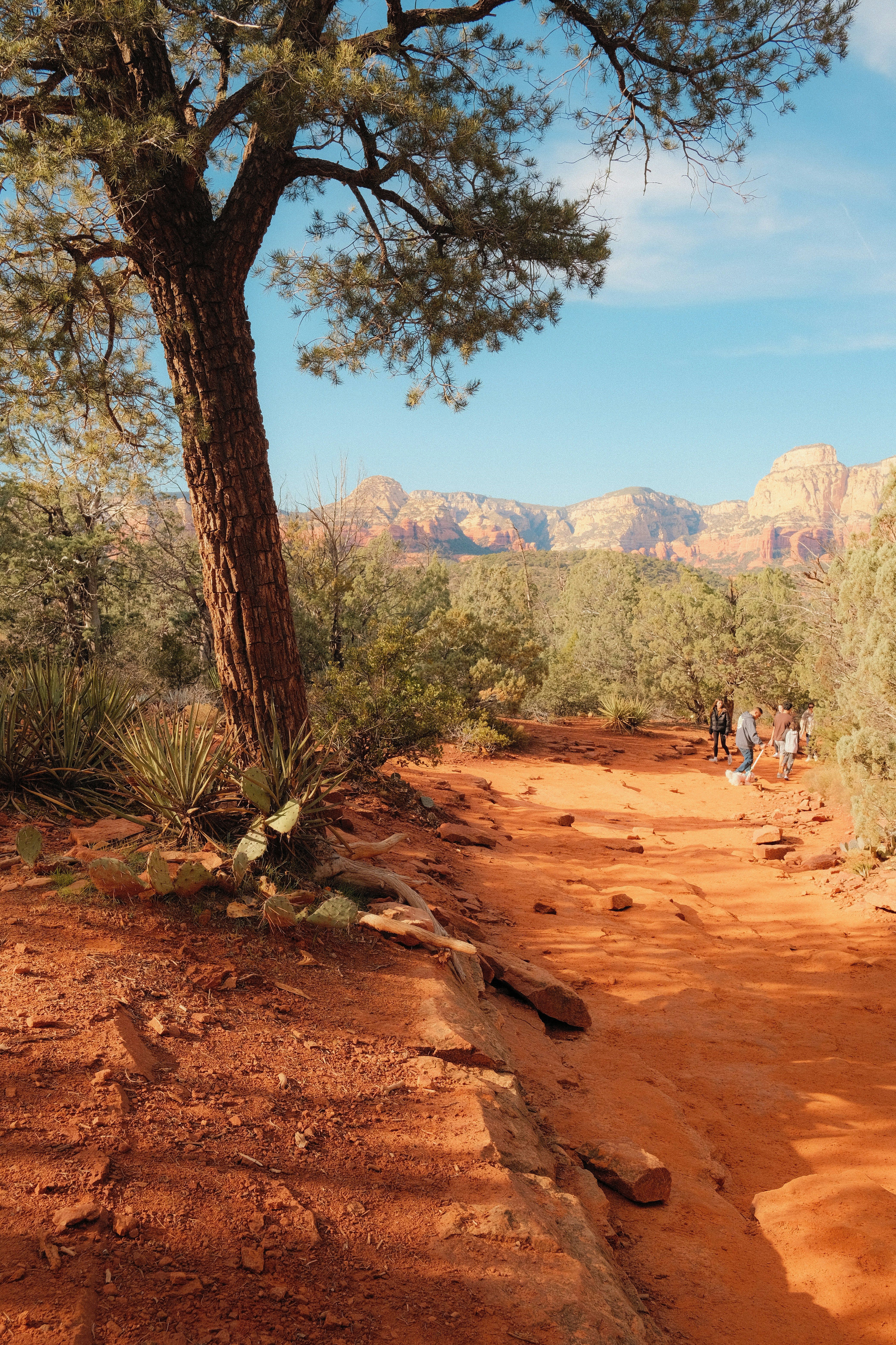 Ein roter Erdweg schlängelt sich durch Wüstenlandschaft mit Bergen.