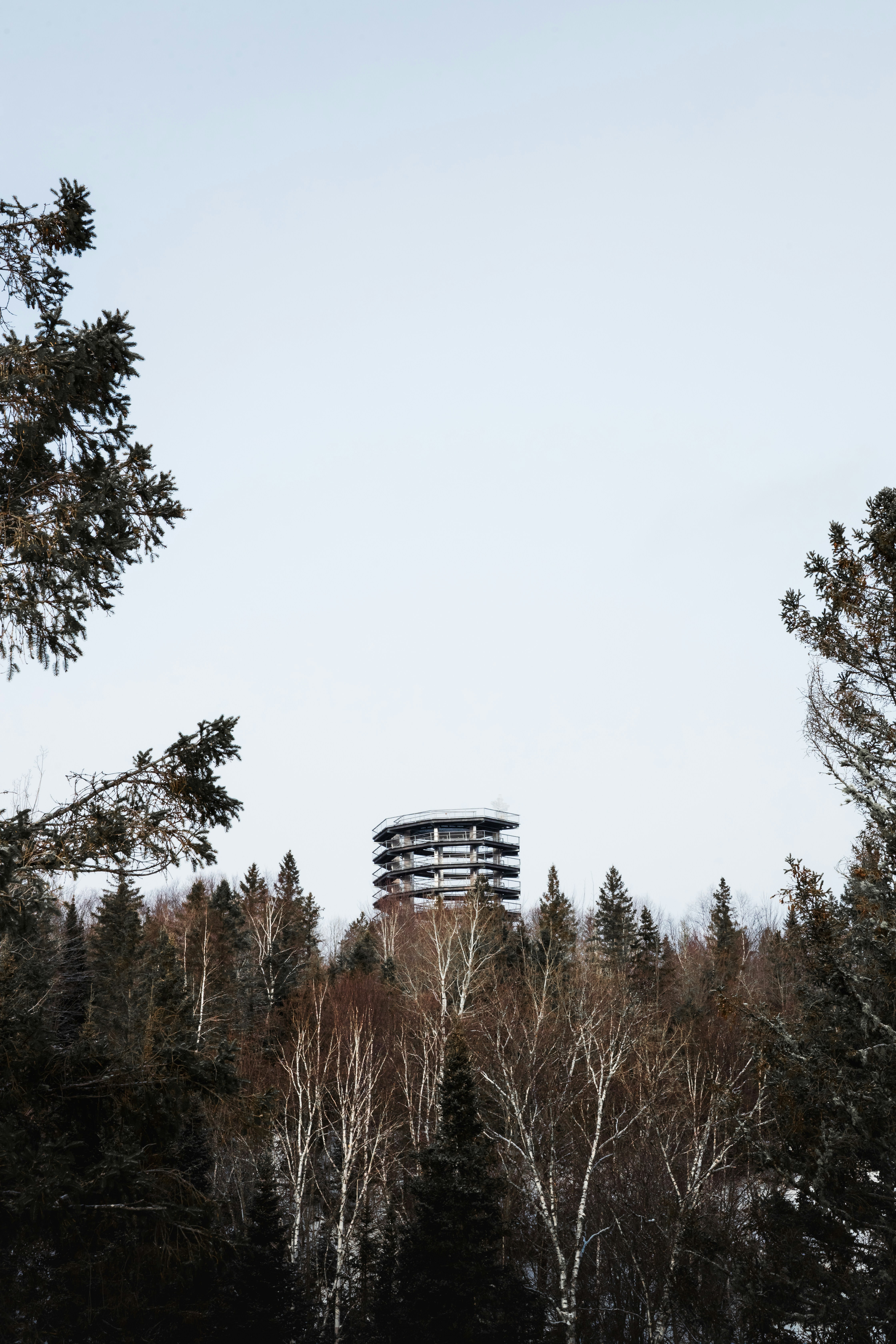 Modern building atop a snow-covered forest