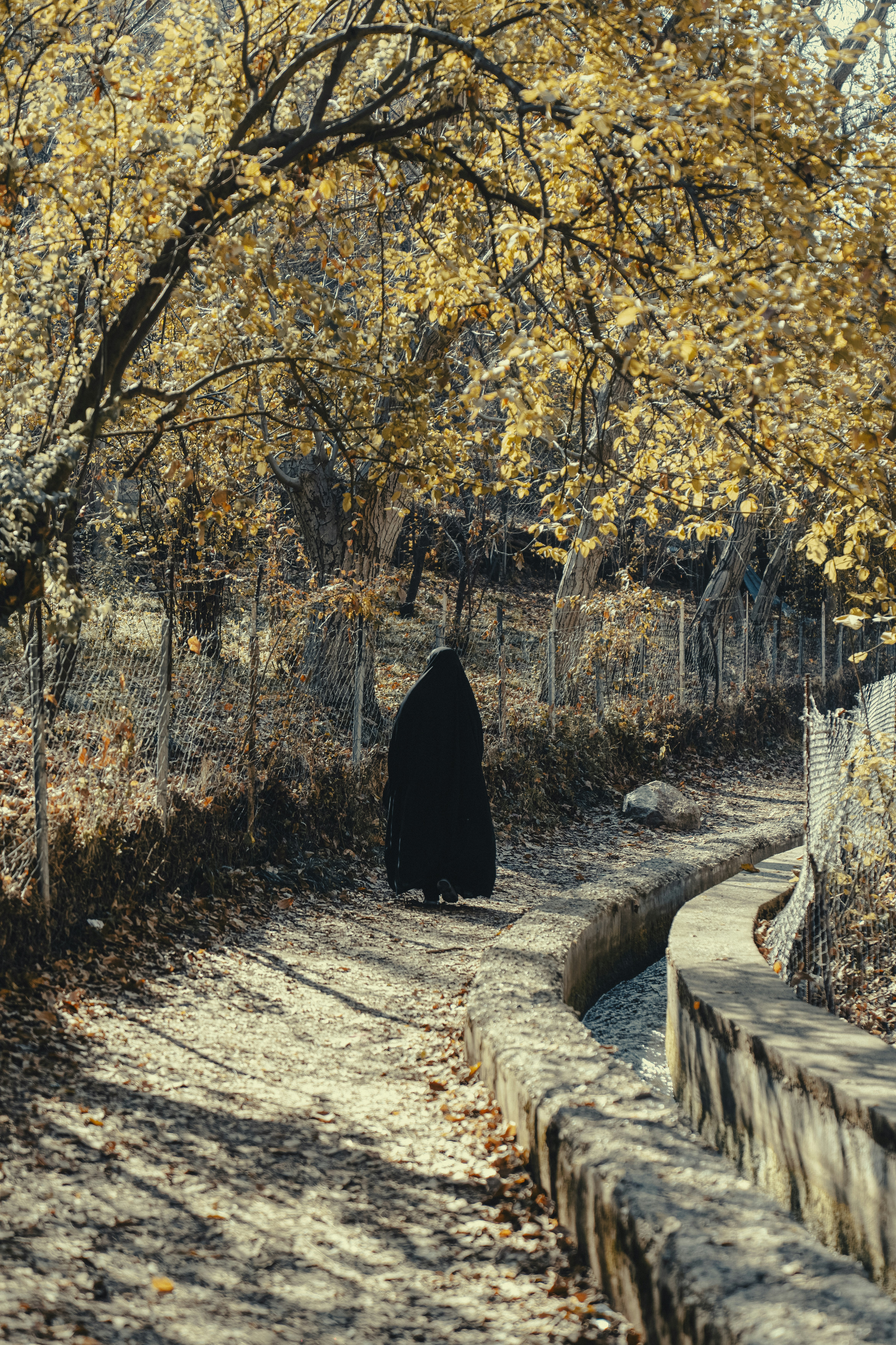 Person walks down a path in autumn woods.