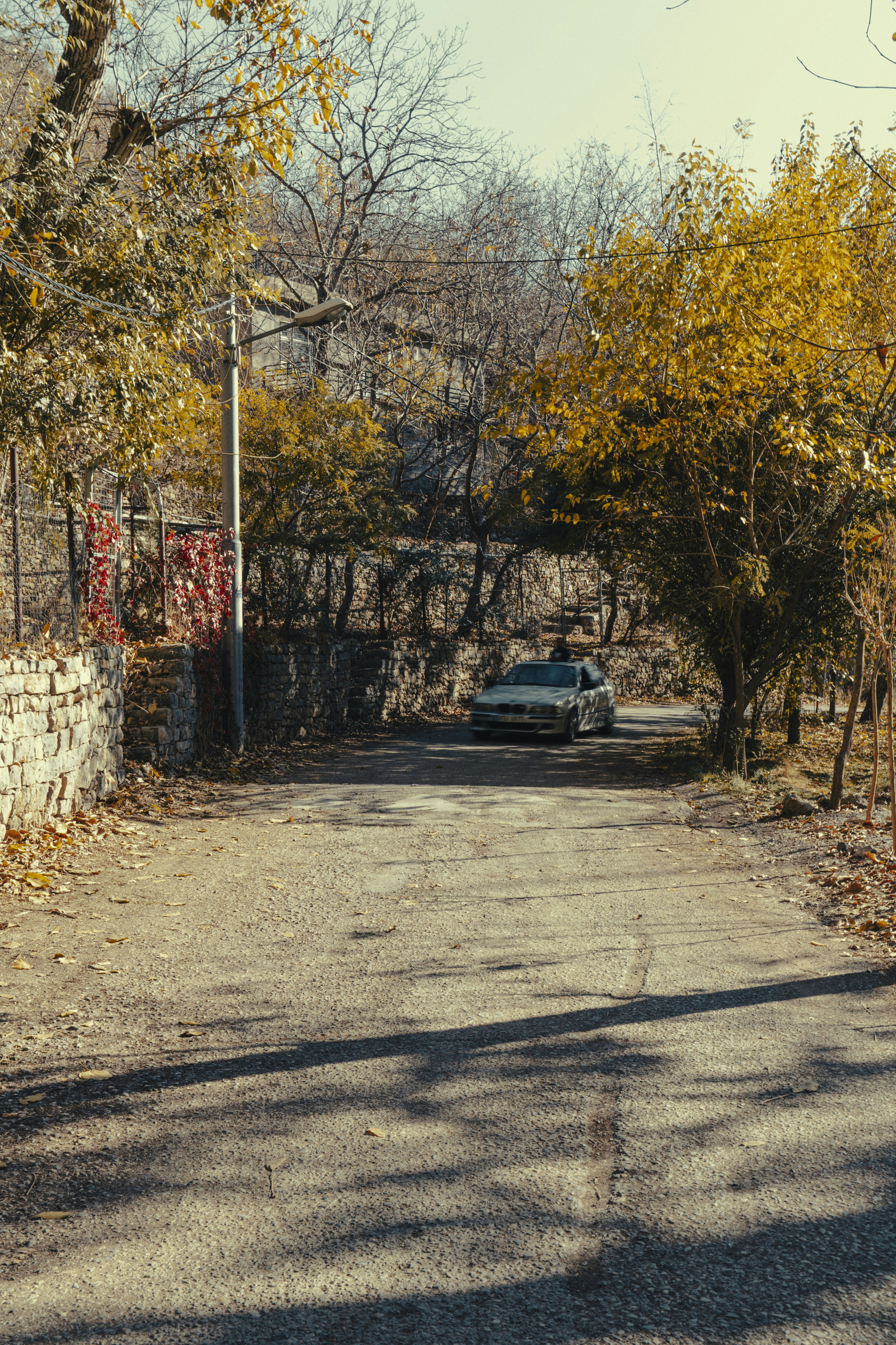 Photo by photographer_esmihel