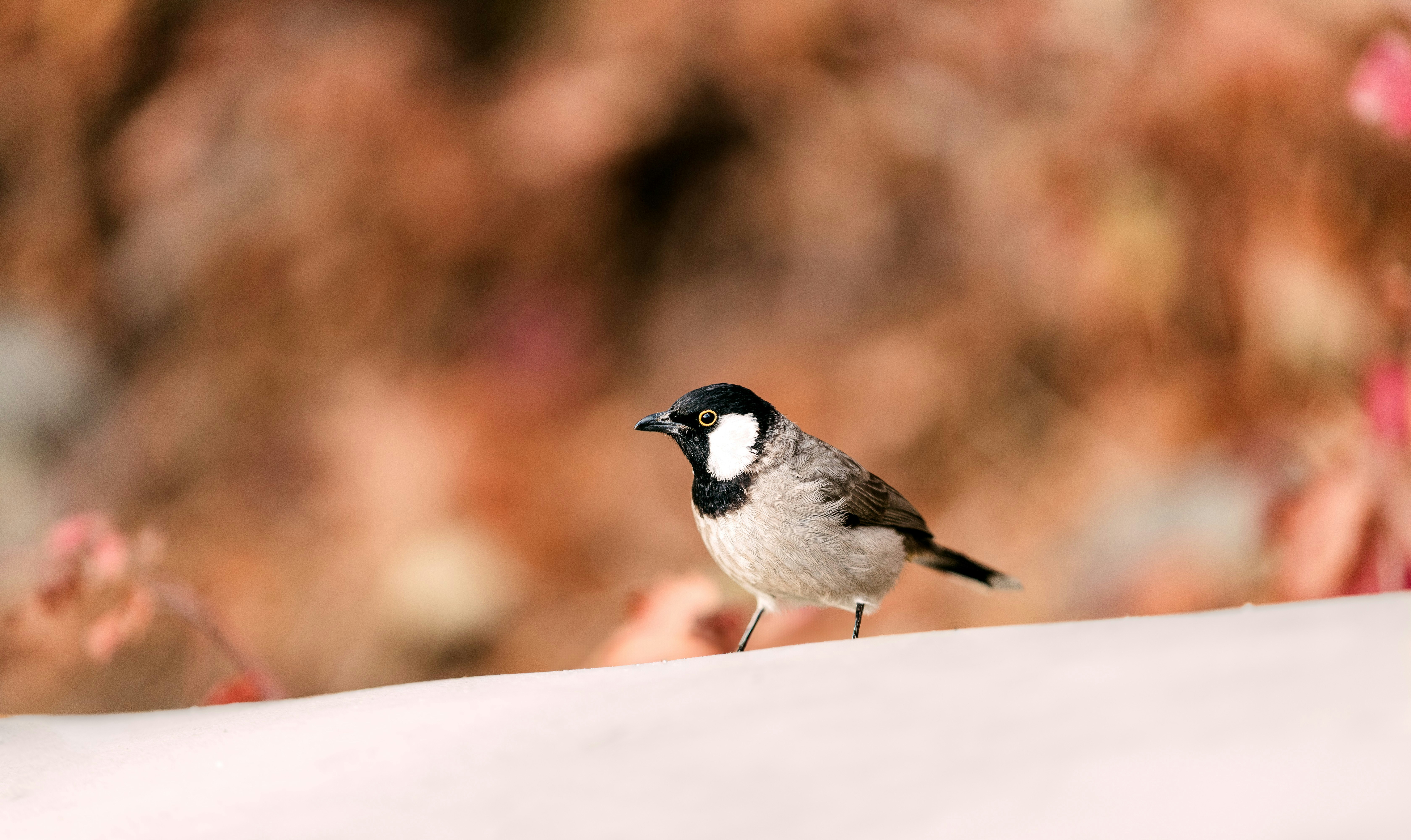 Photo by behy_studio