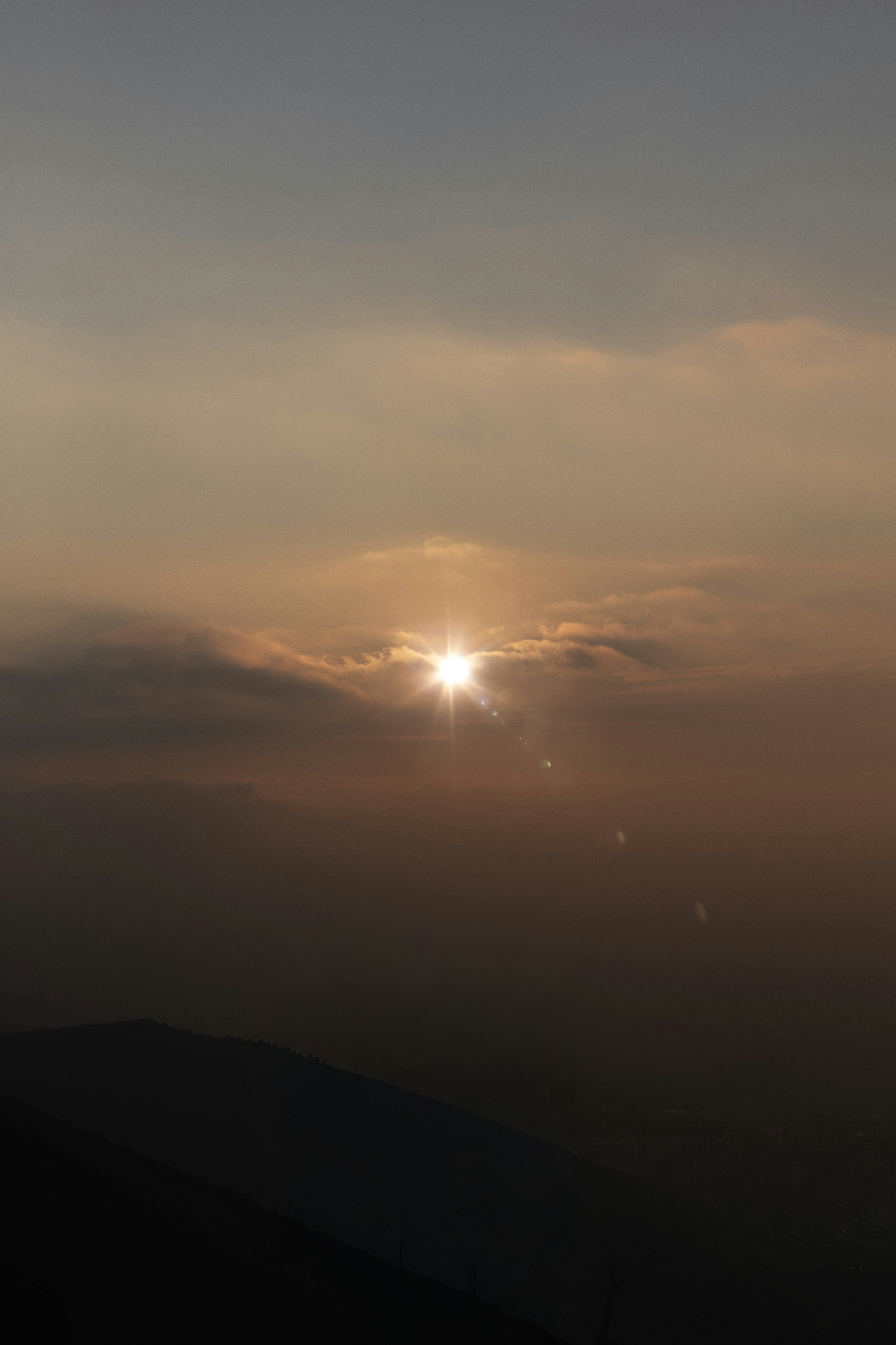 Photo by behy_studio