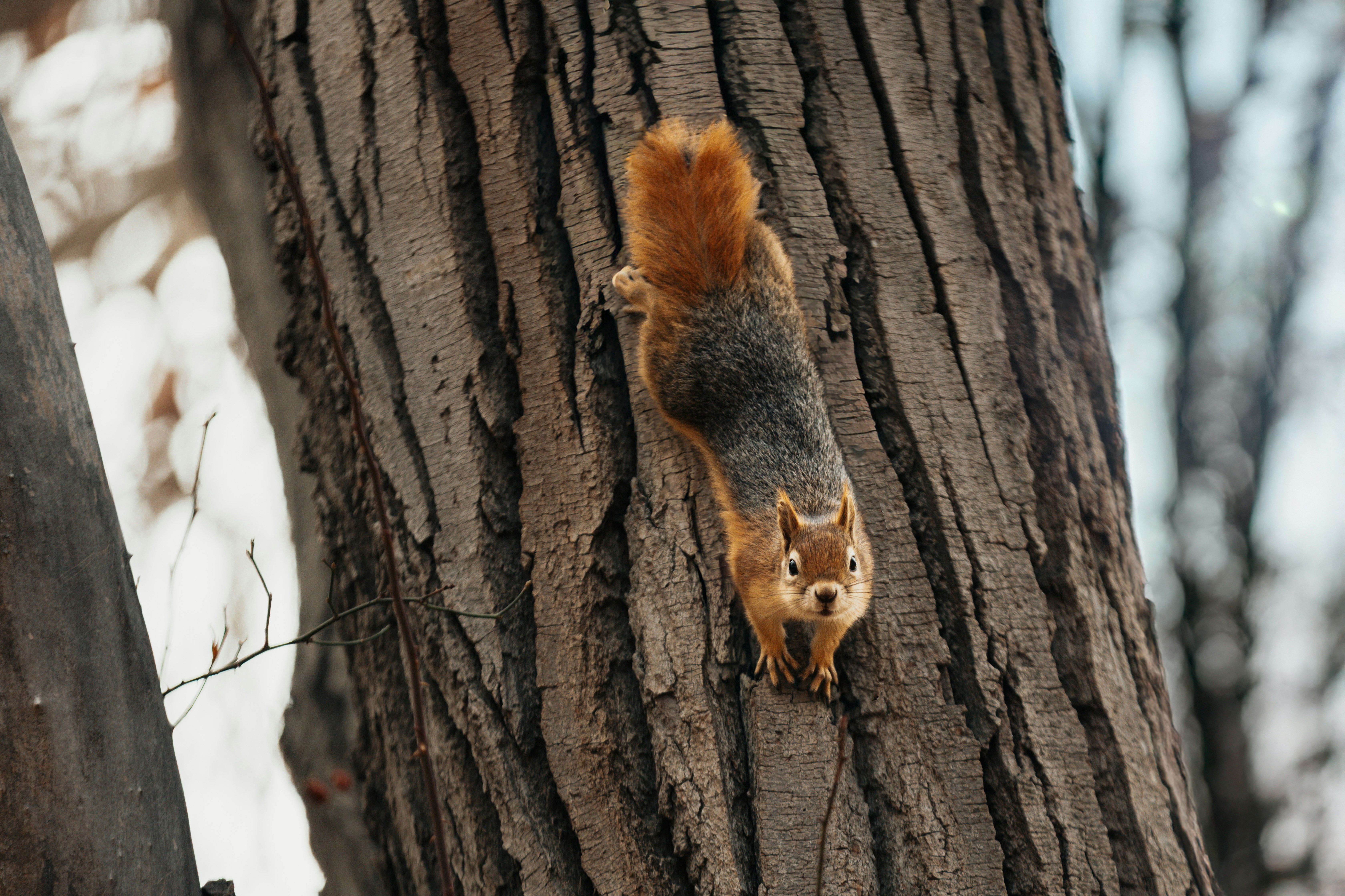 Photo by behy_studio